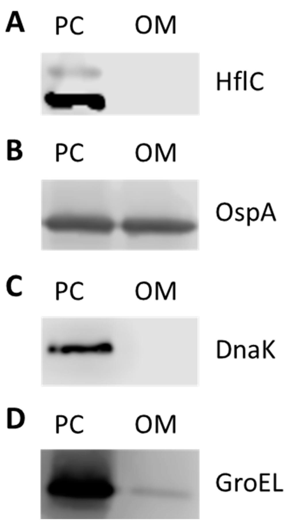 Pathogens 10 00226 g003