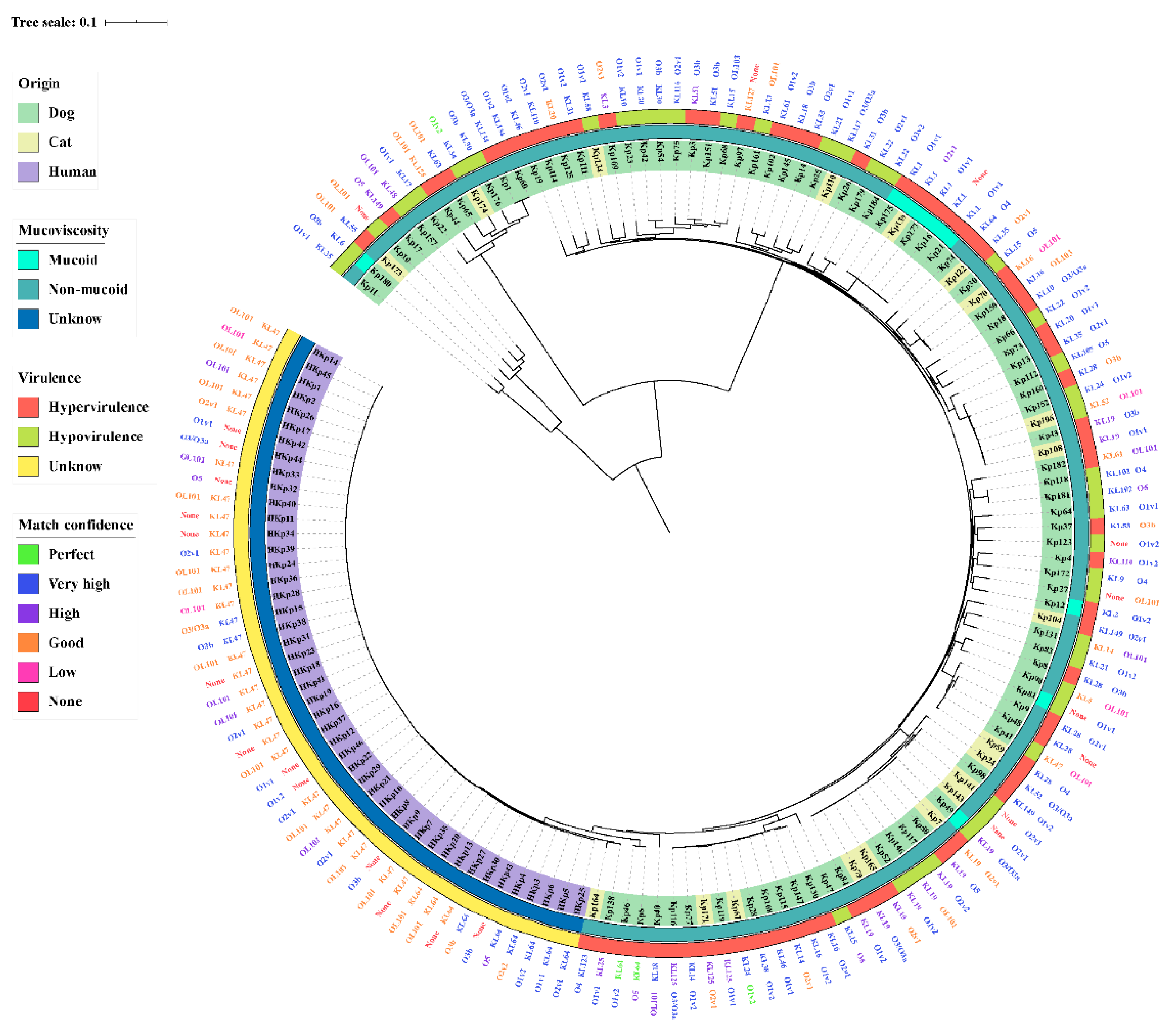 Pathogens 10 00271 g003