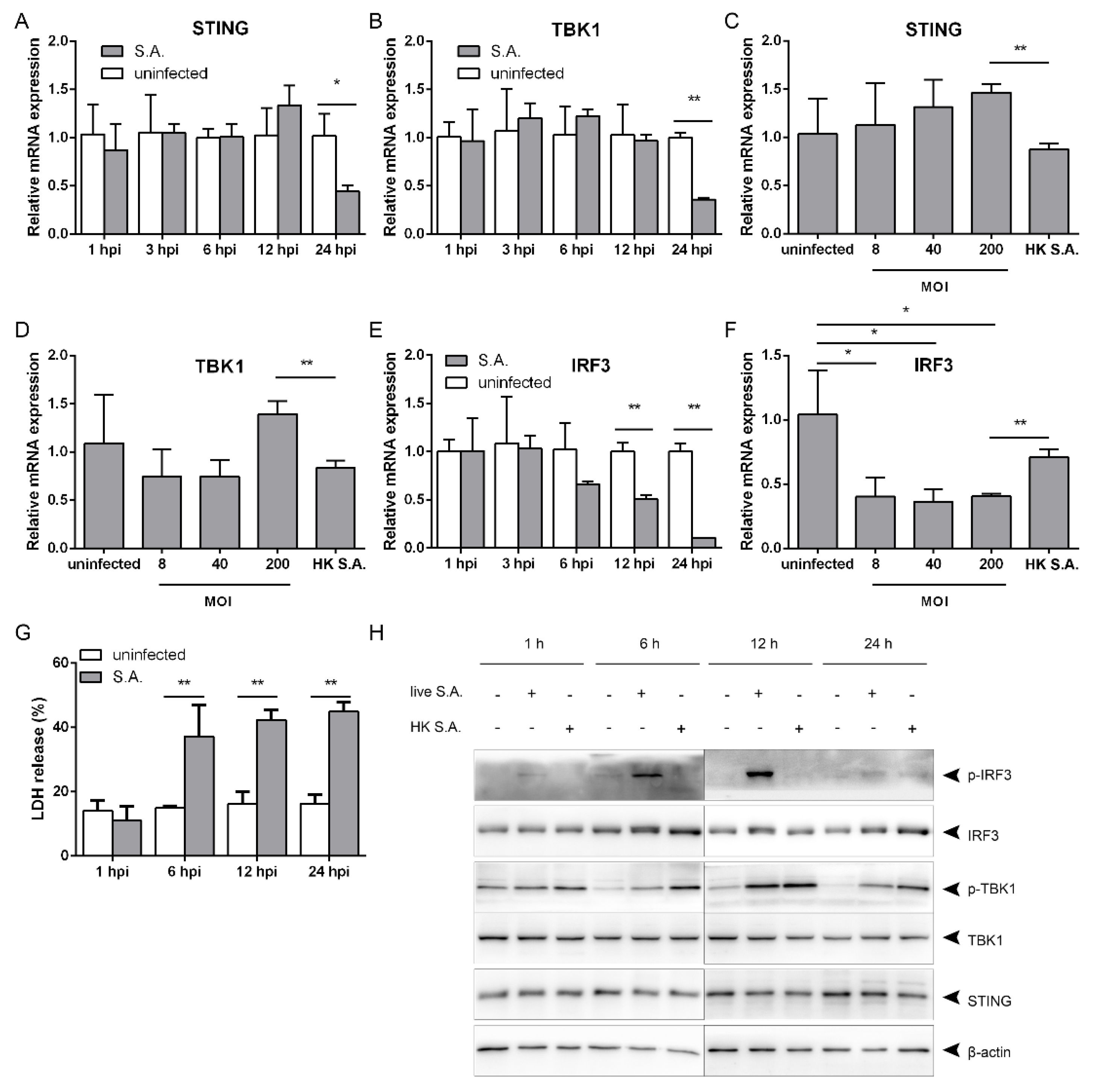 Pathogens 10 00300 g002