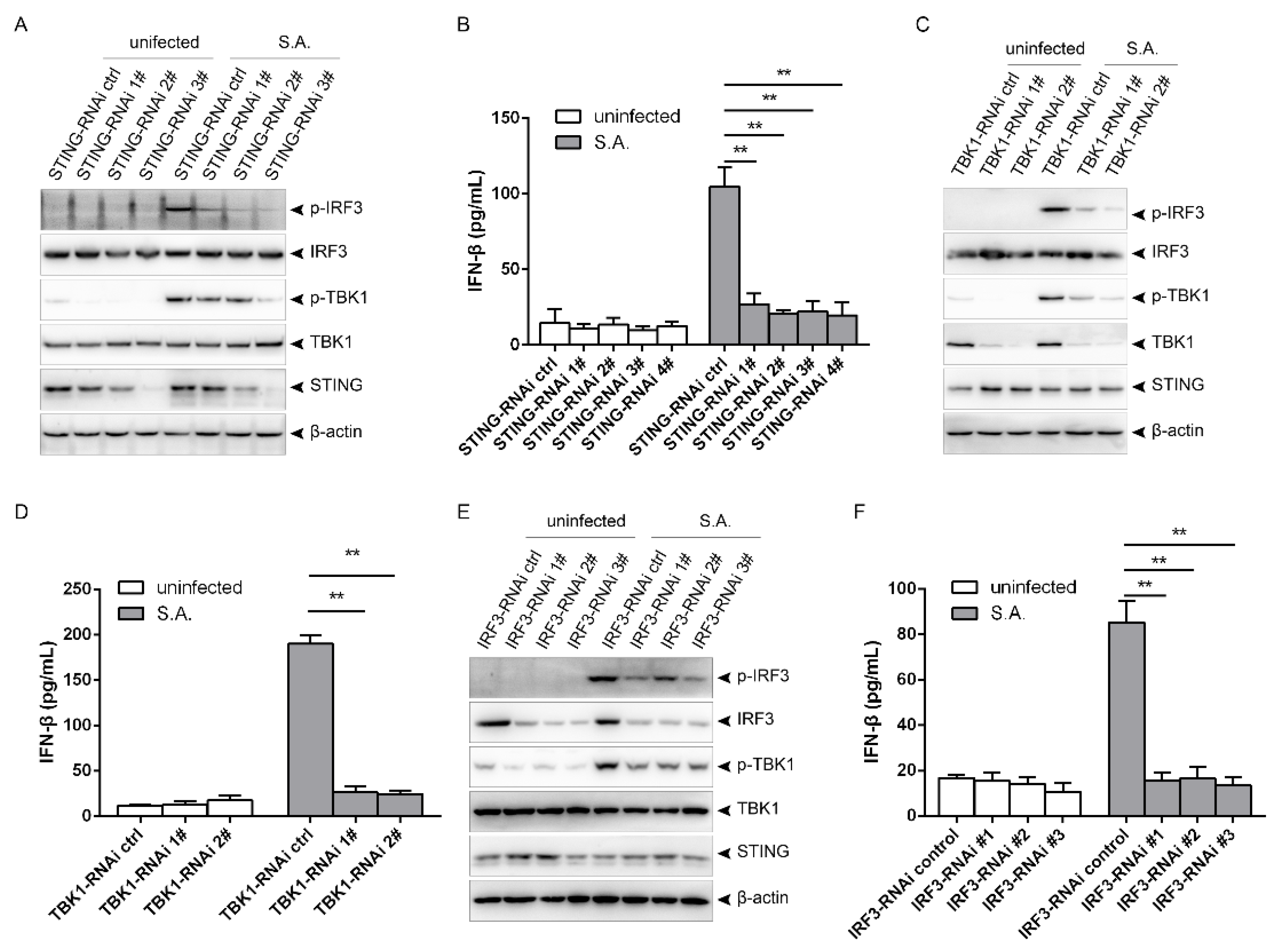 Pathogens 10 00300 g003