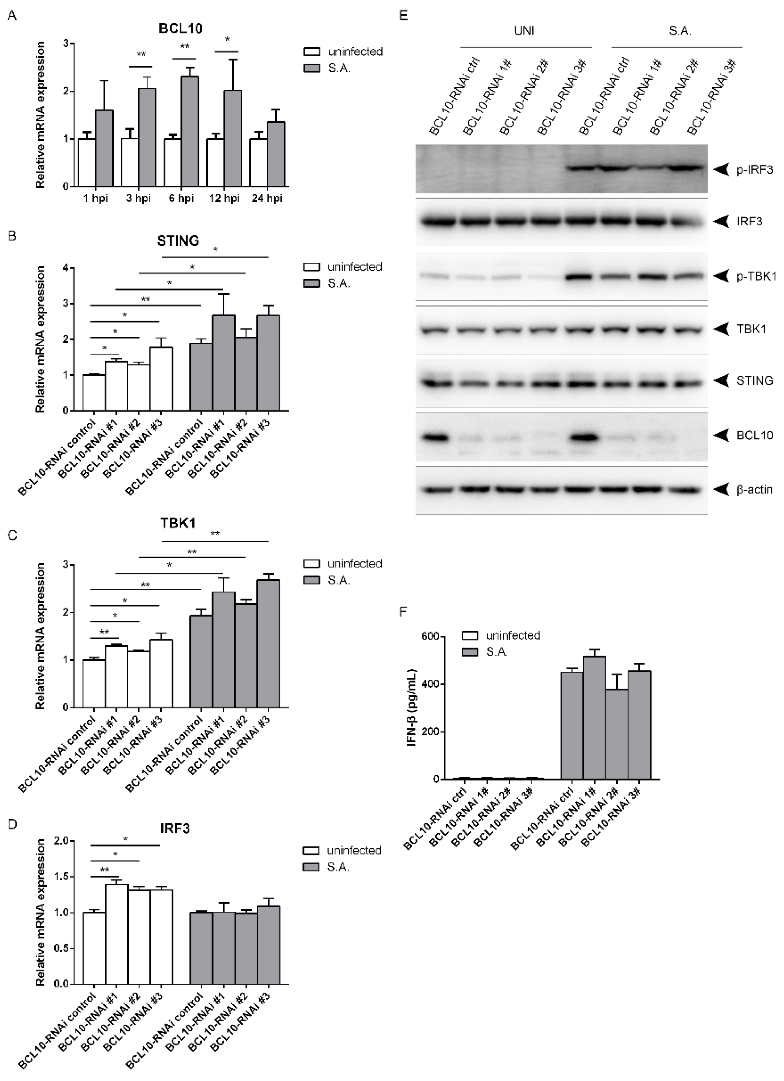 Pathogens 10 00300 g006