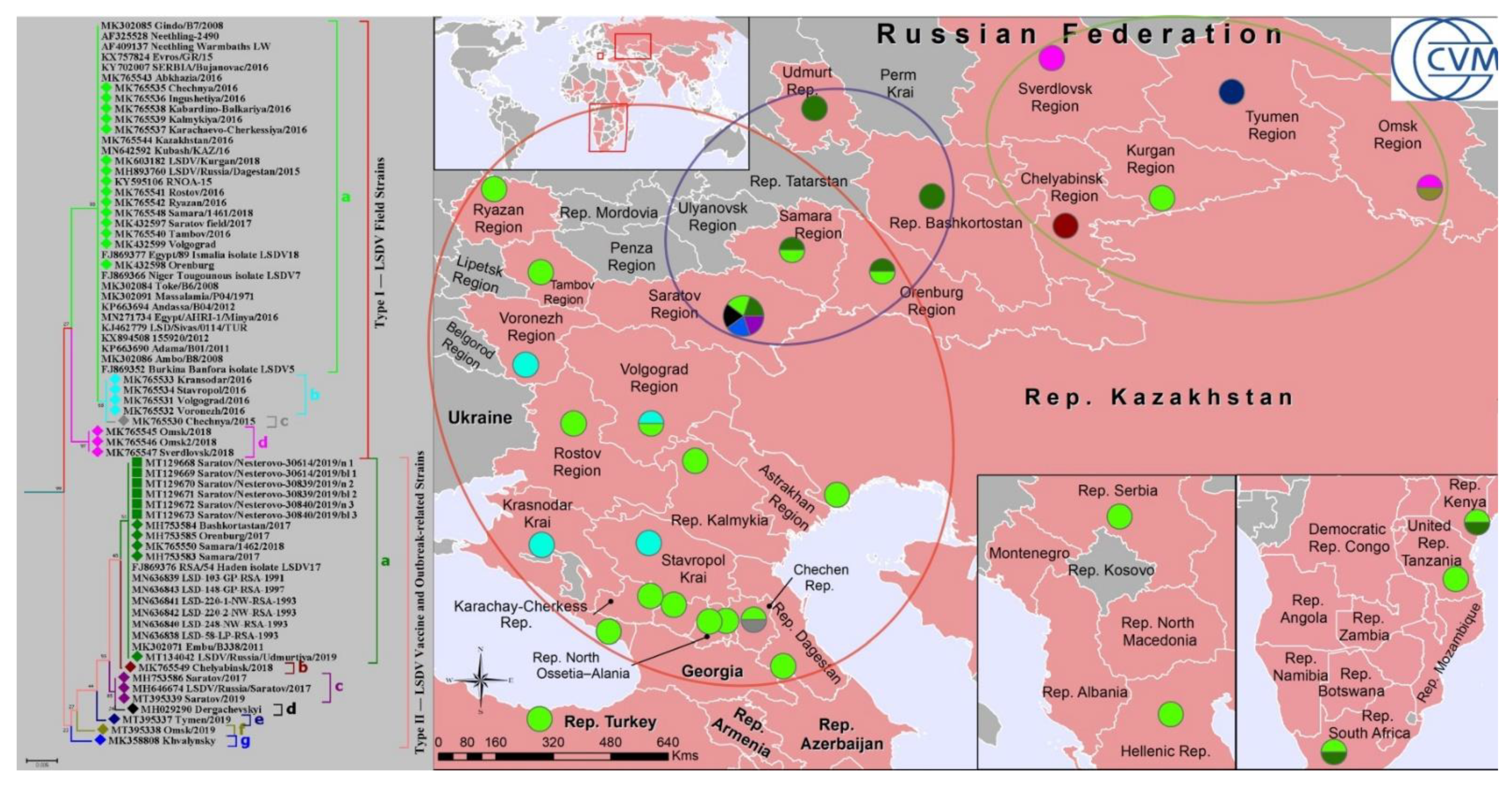 Pathogens 10 00716 g003