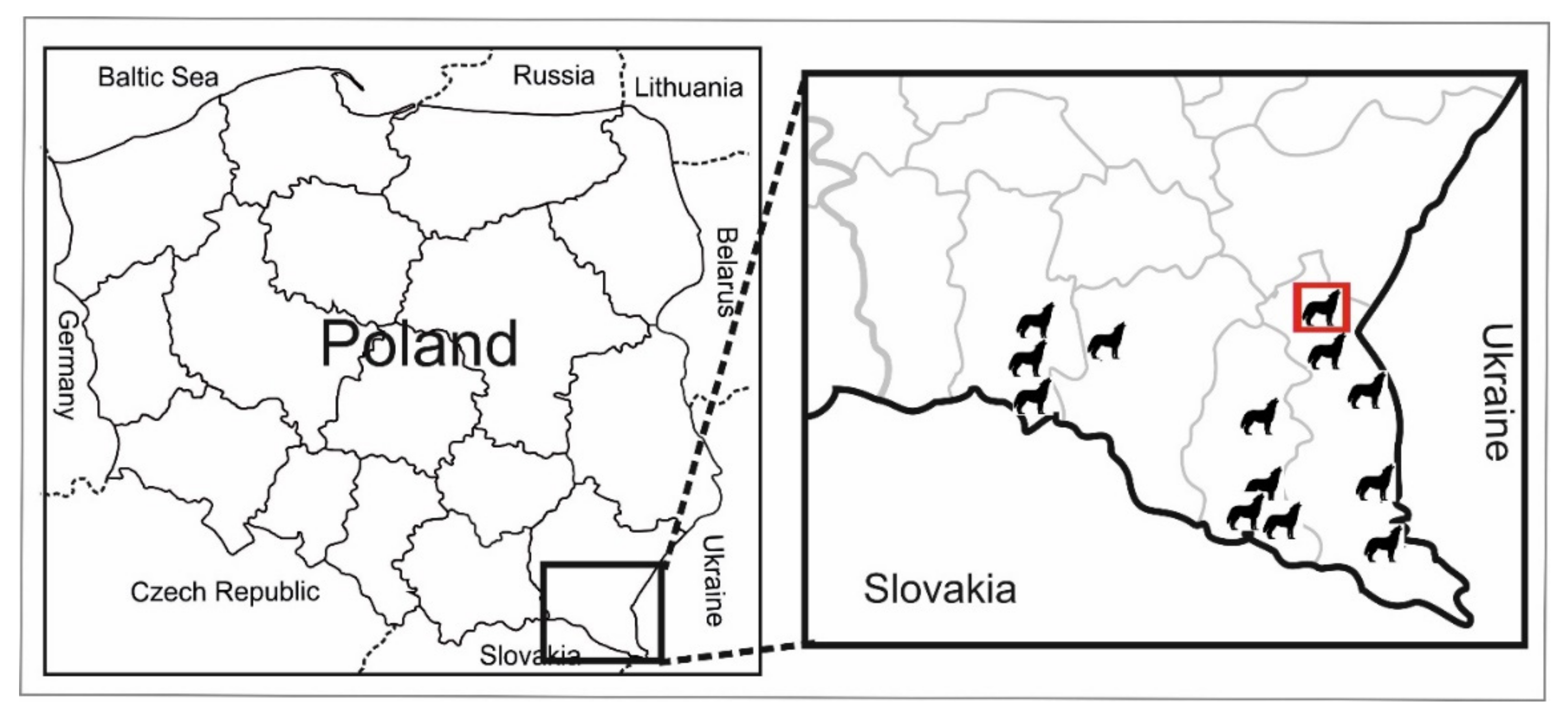Pathogens 10 00853 g001