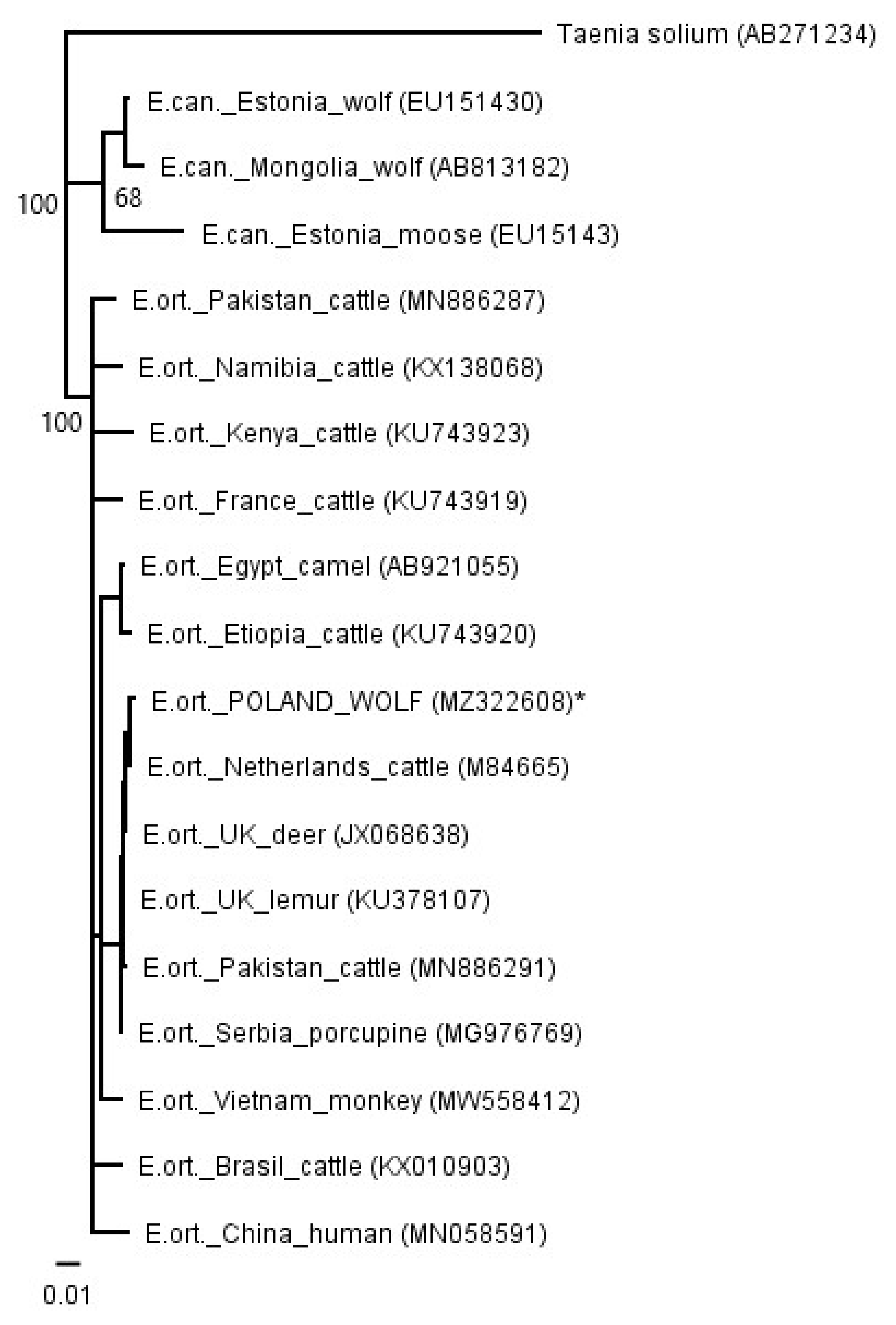Pathogens 10 00853 g004