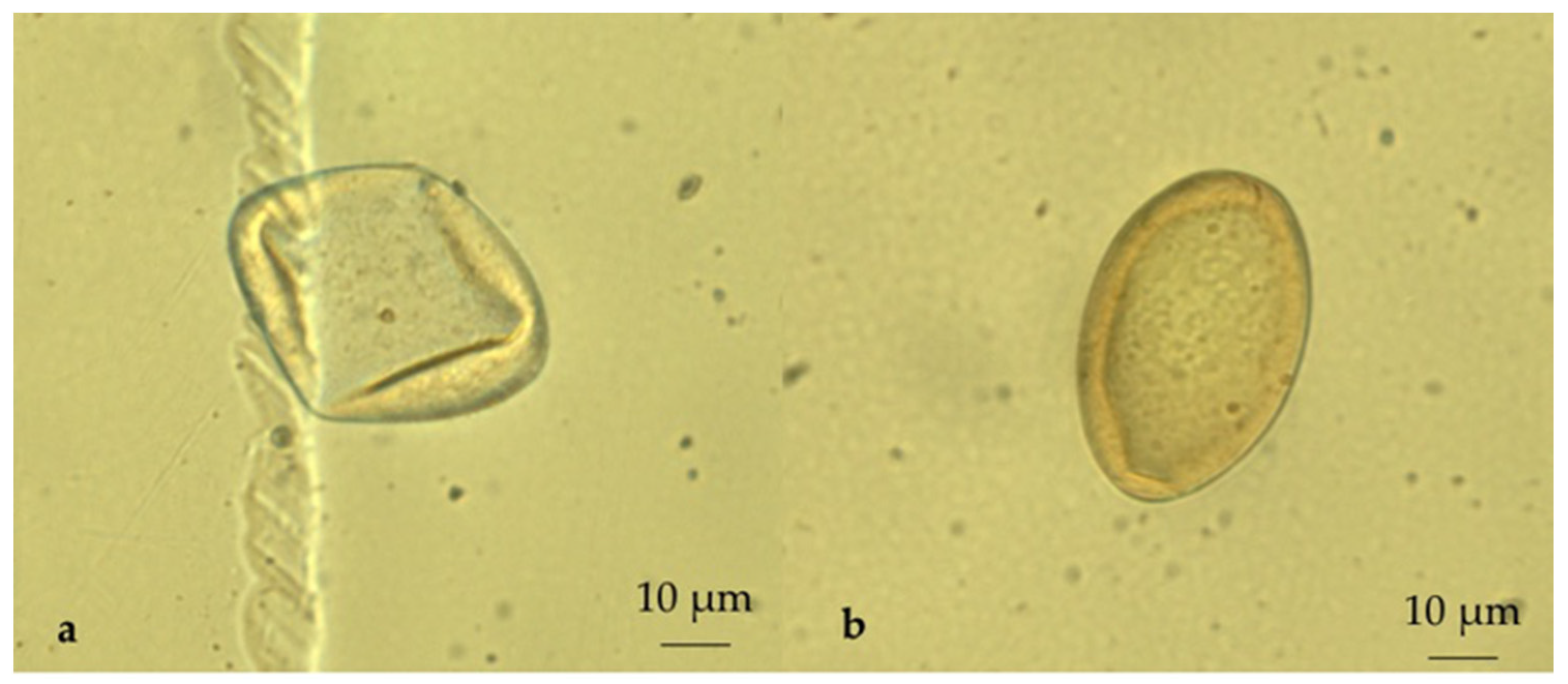Pathogens 10 01122 g006 Pathogens 10 01122 g006