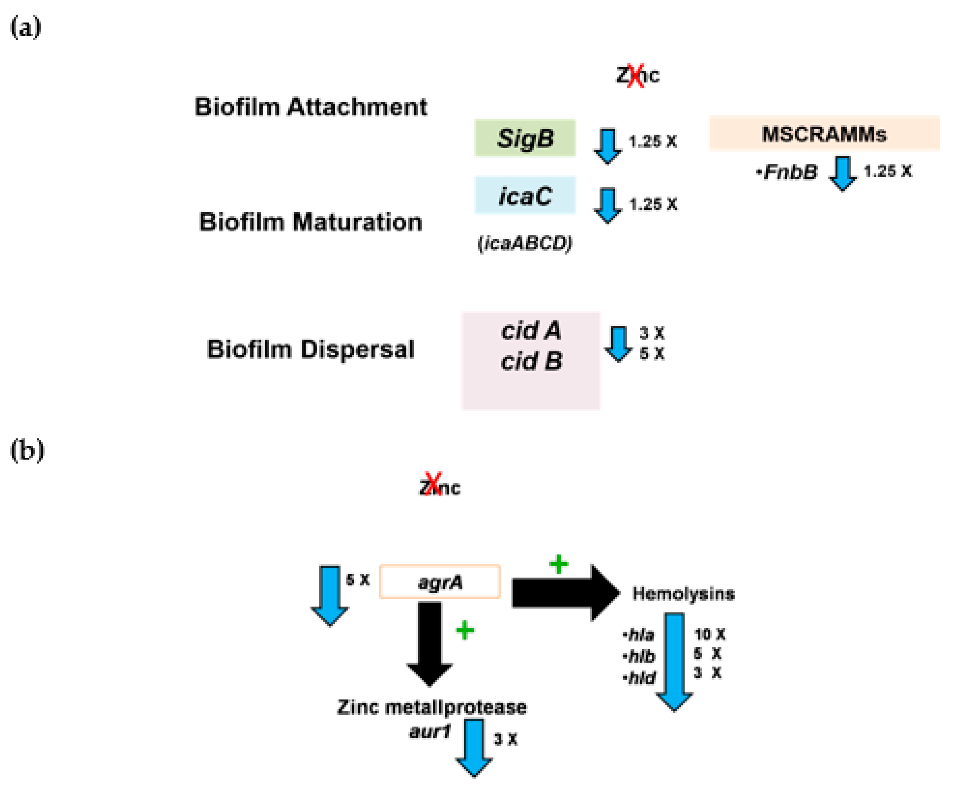 Pathogens 10 01228 g006