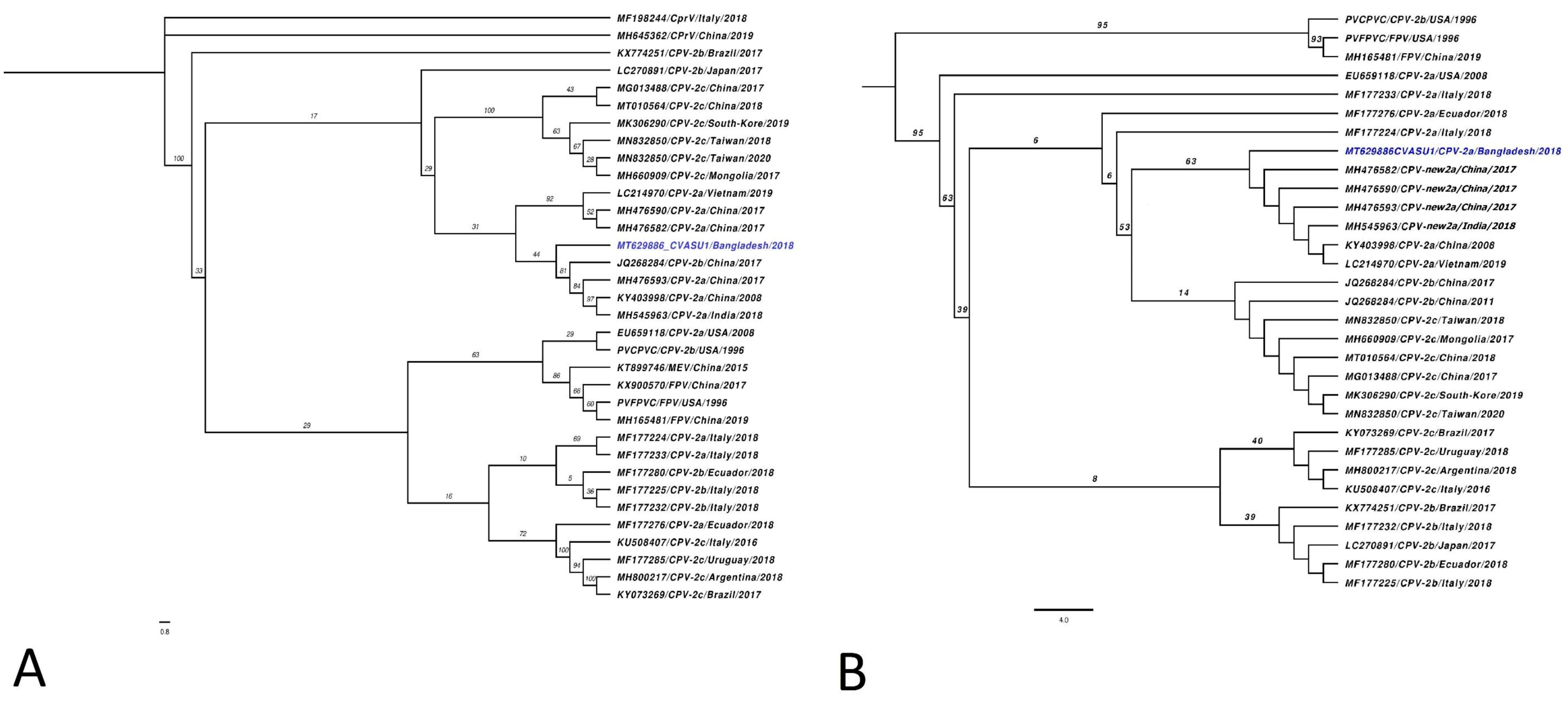 Pathogens 10 01373 g002
