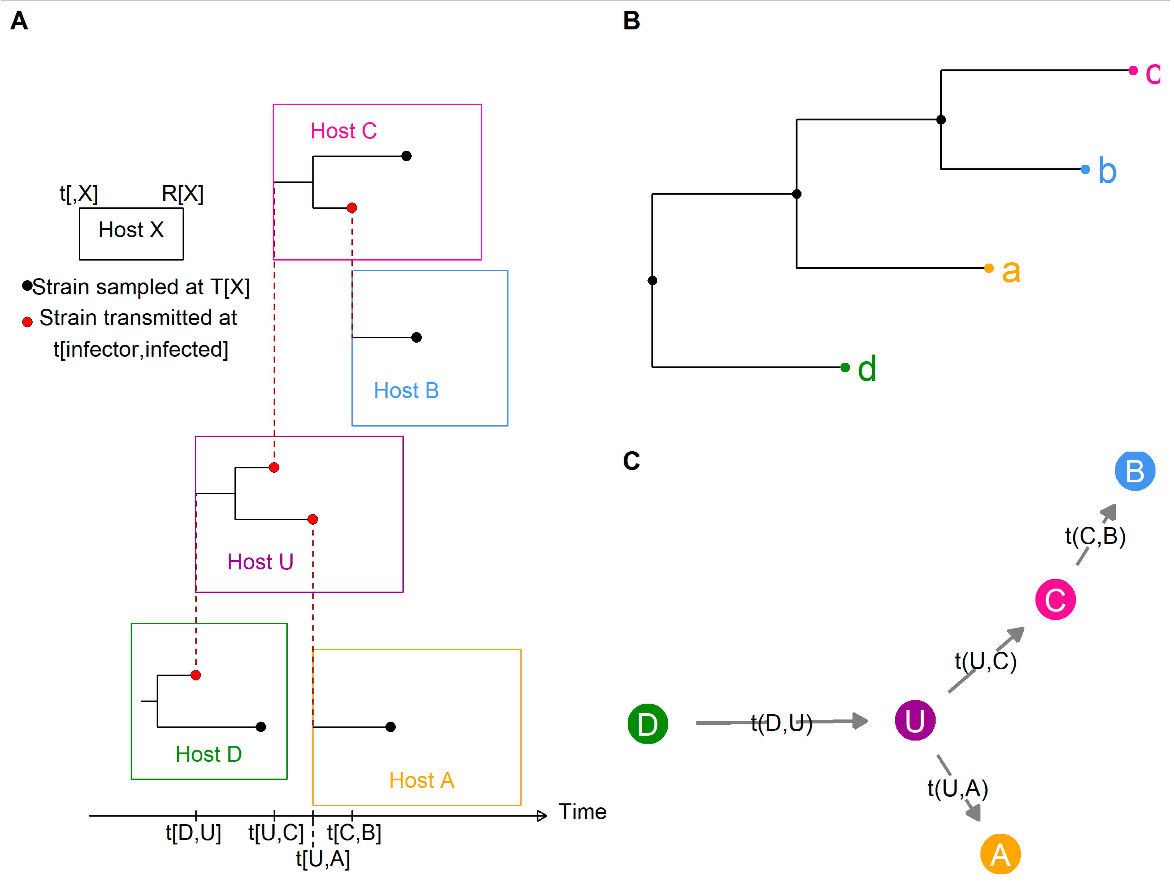 Pathogens 11 00252 g002