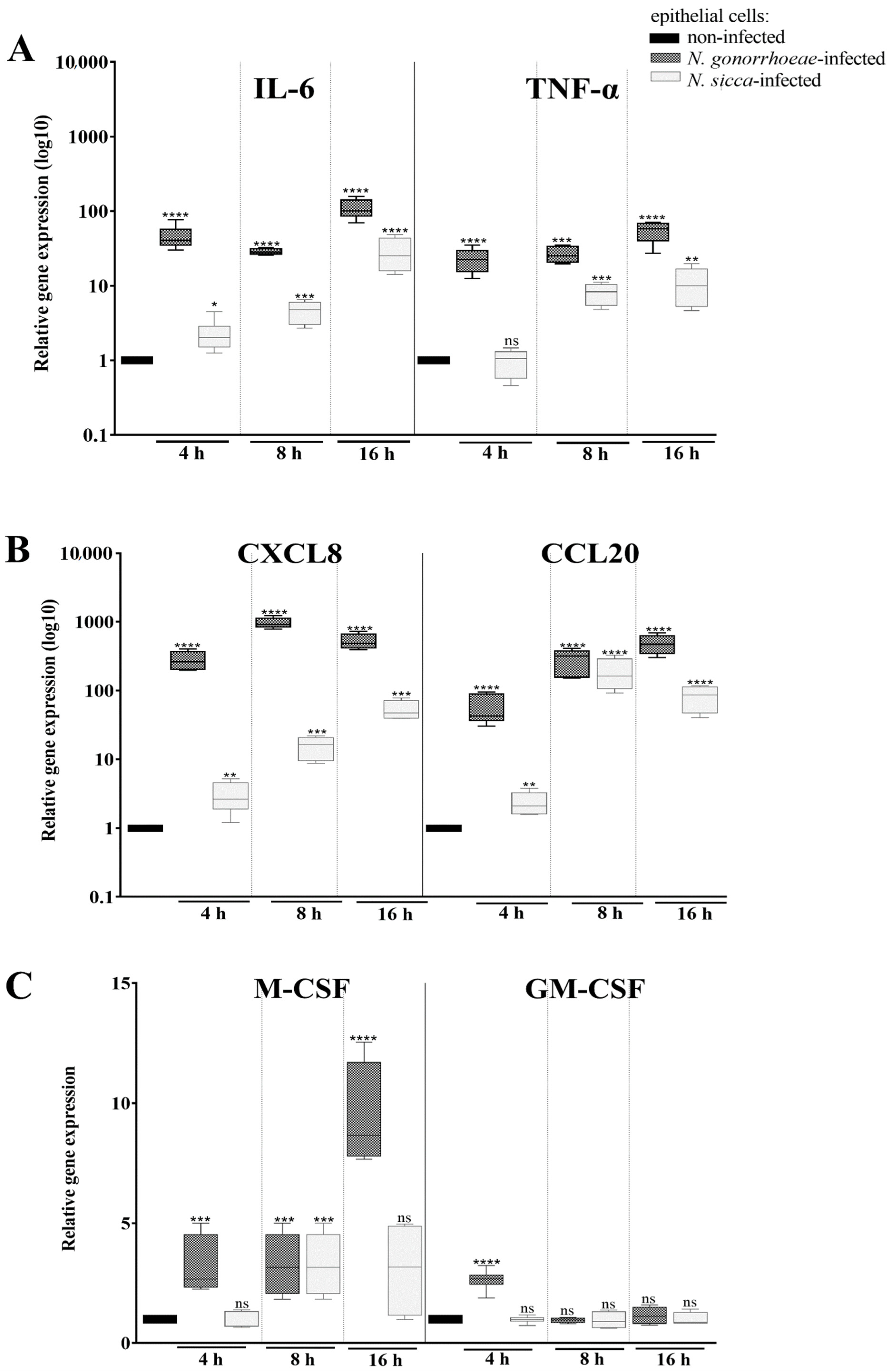 Pathogens 11 00394 g002