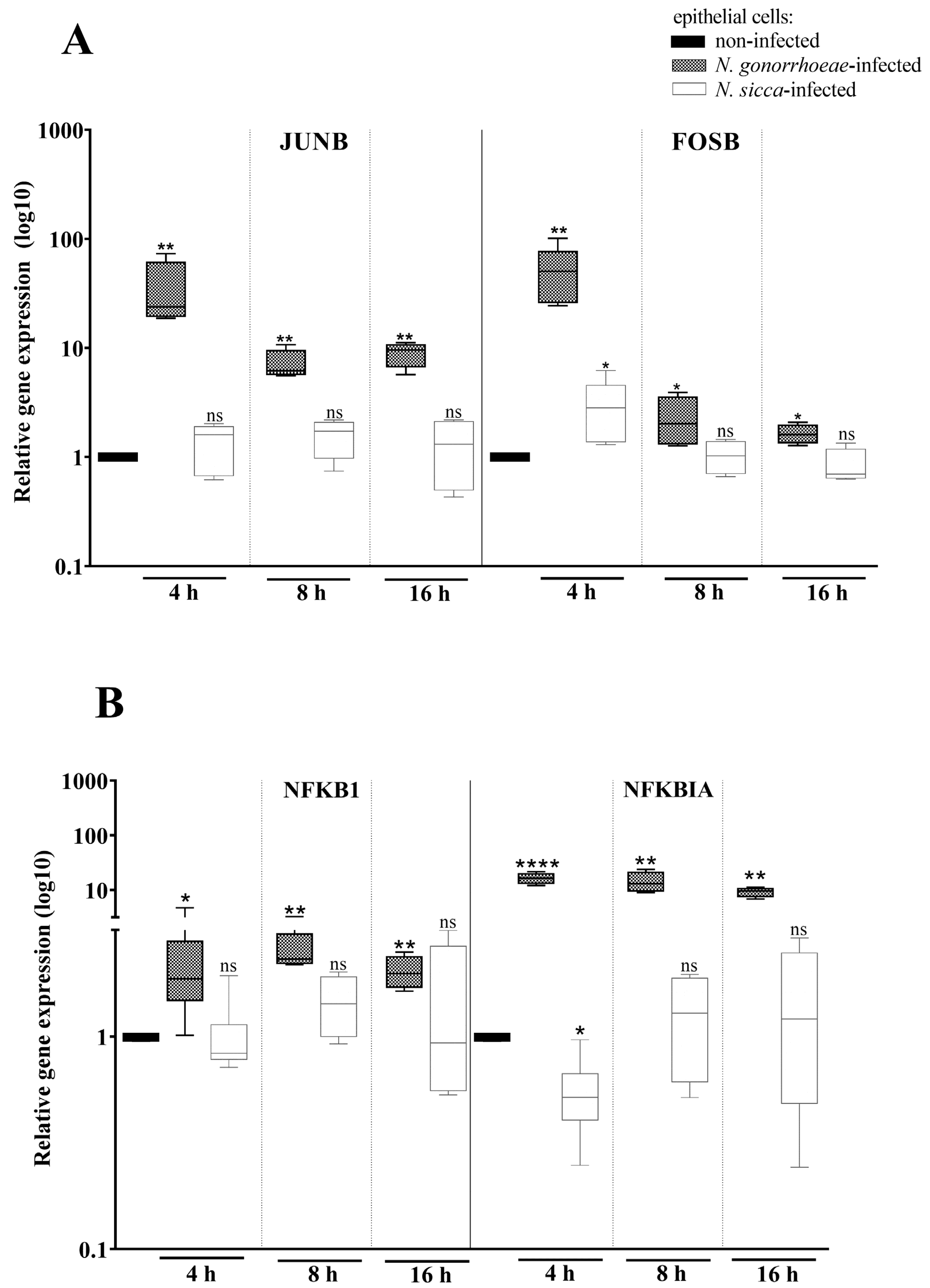 Pathogens 11 00394 g004