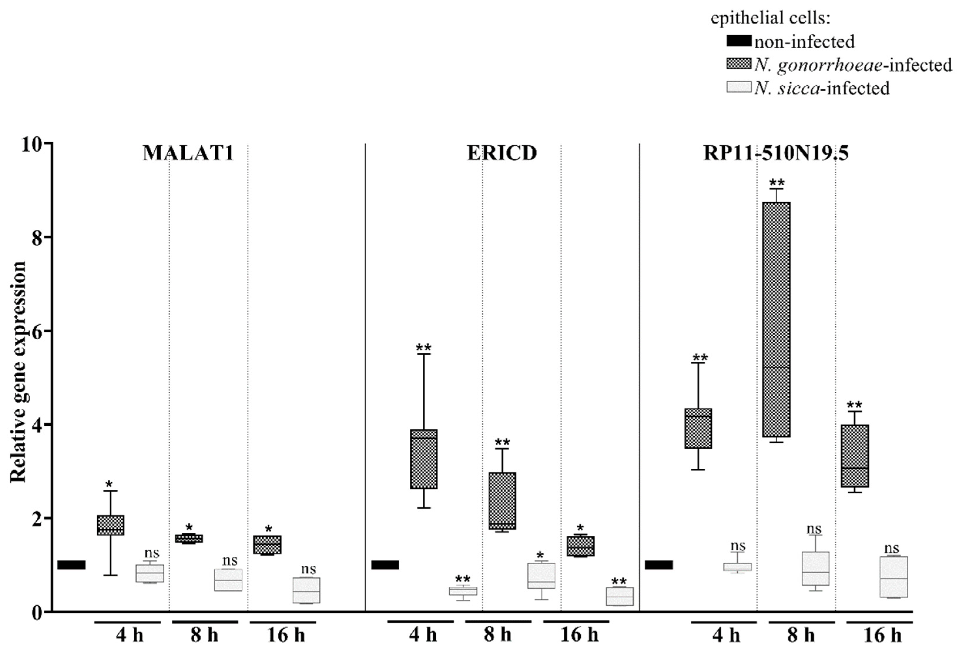 Pathogens 11 00394 g005
