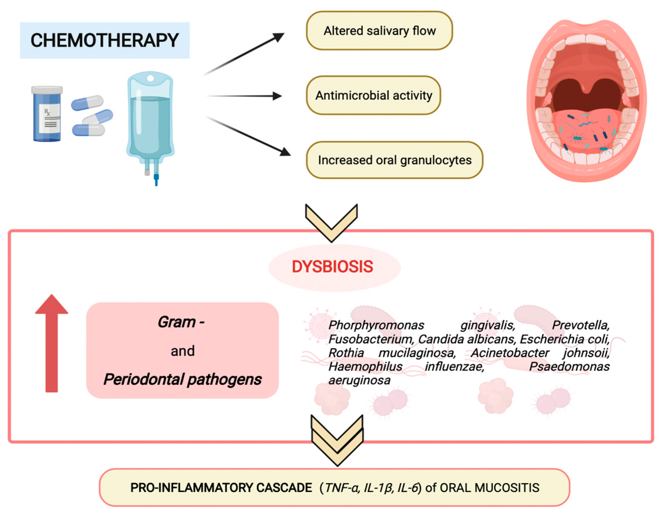 Pathogens 11 00448 g002