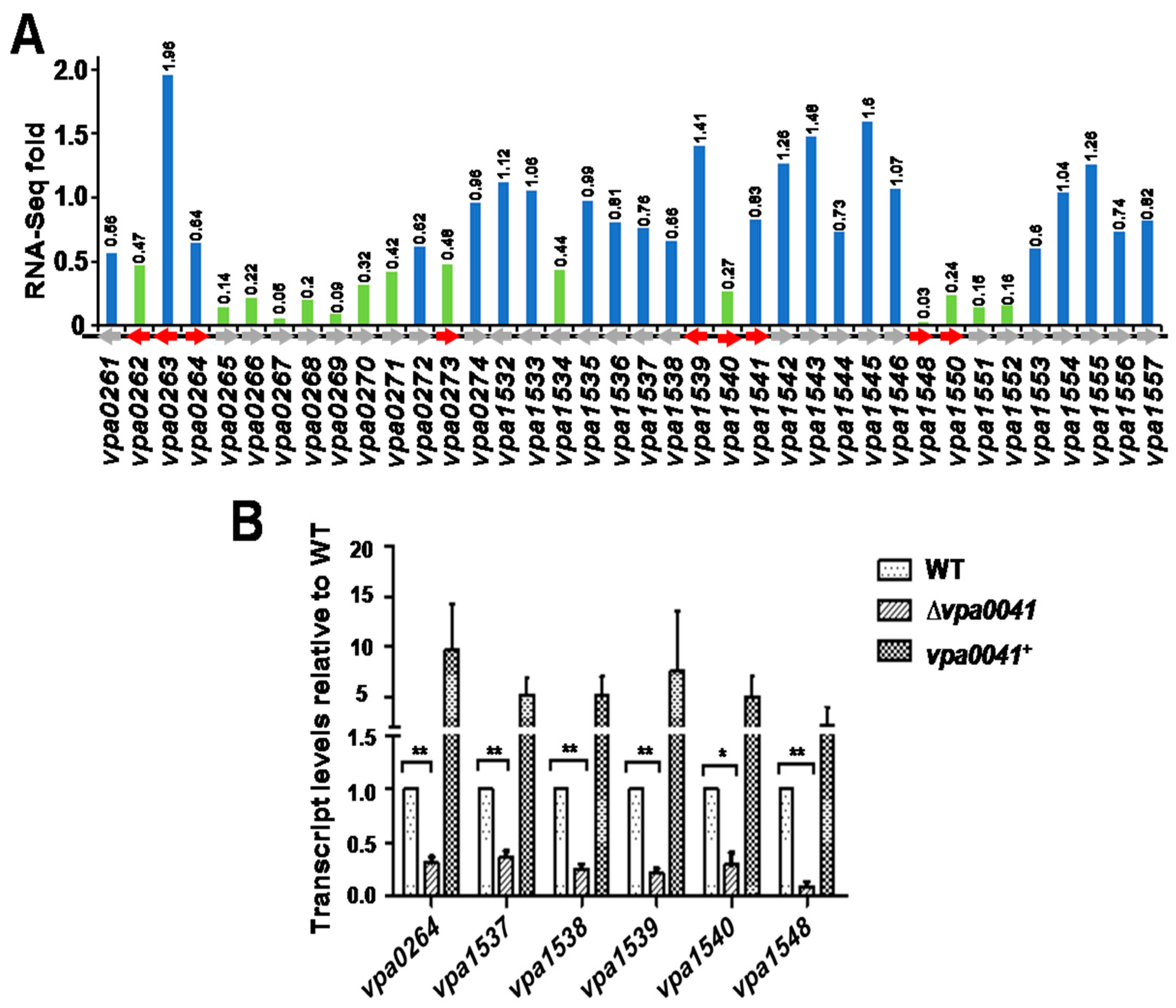 Pathogens 11 00453 g004