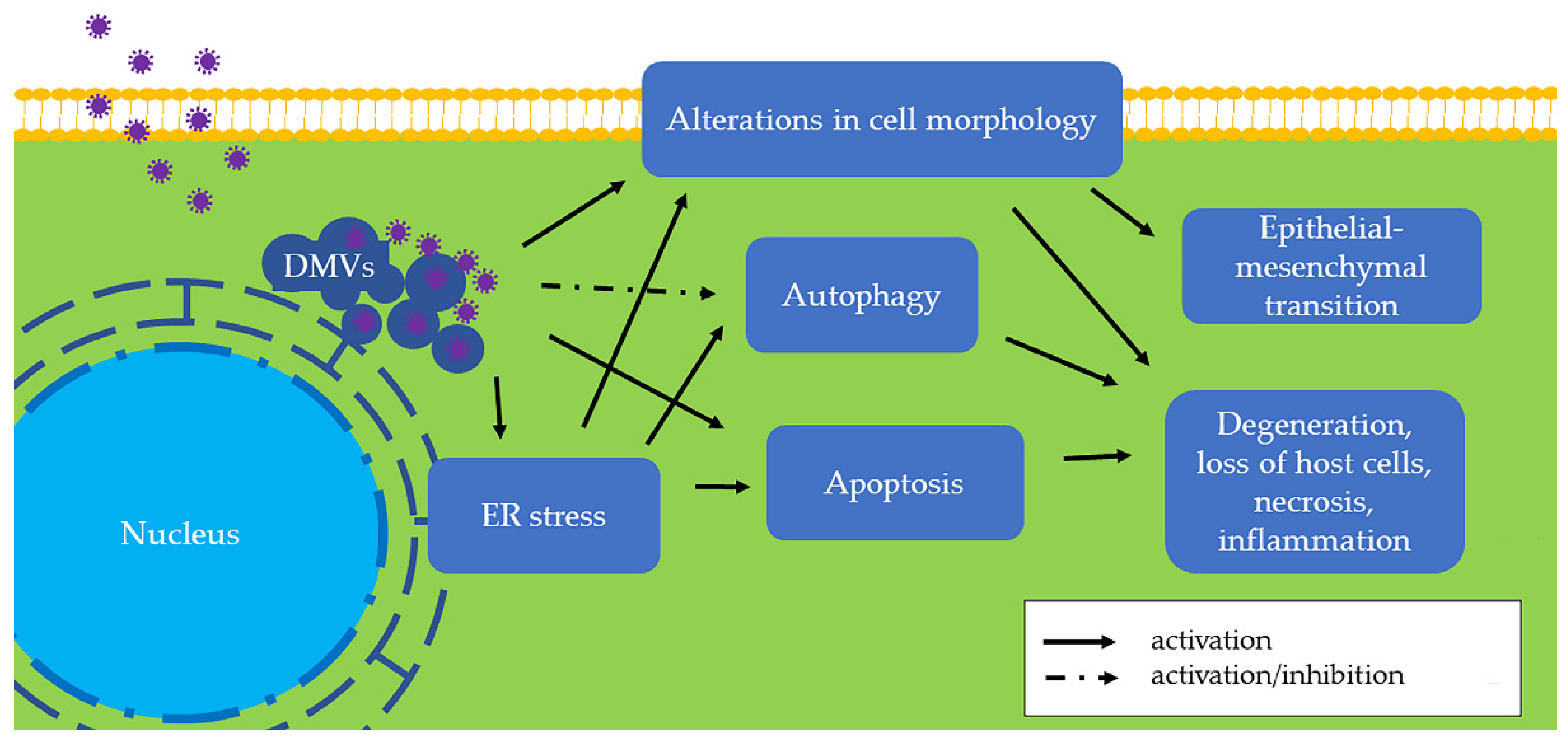 Pathogens 11 00940 g003