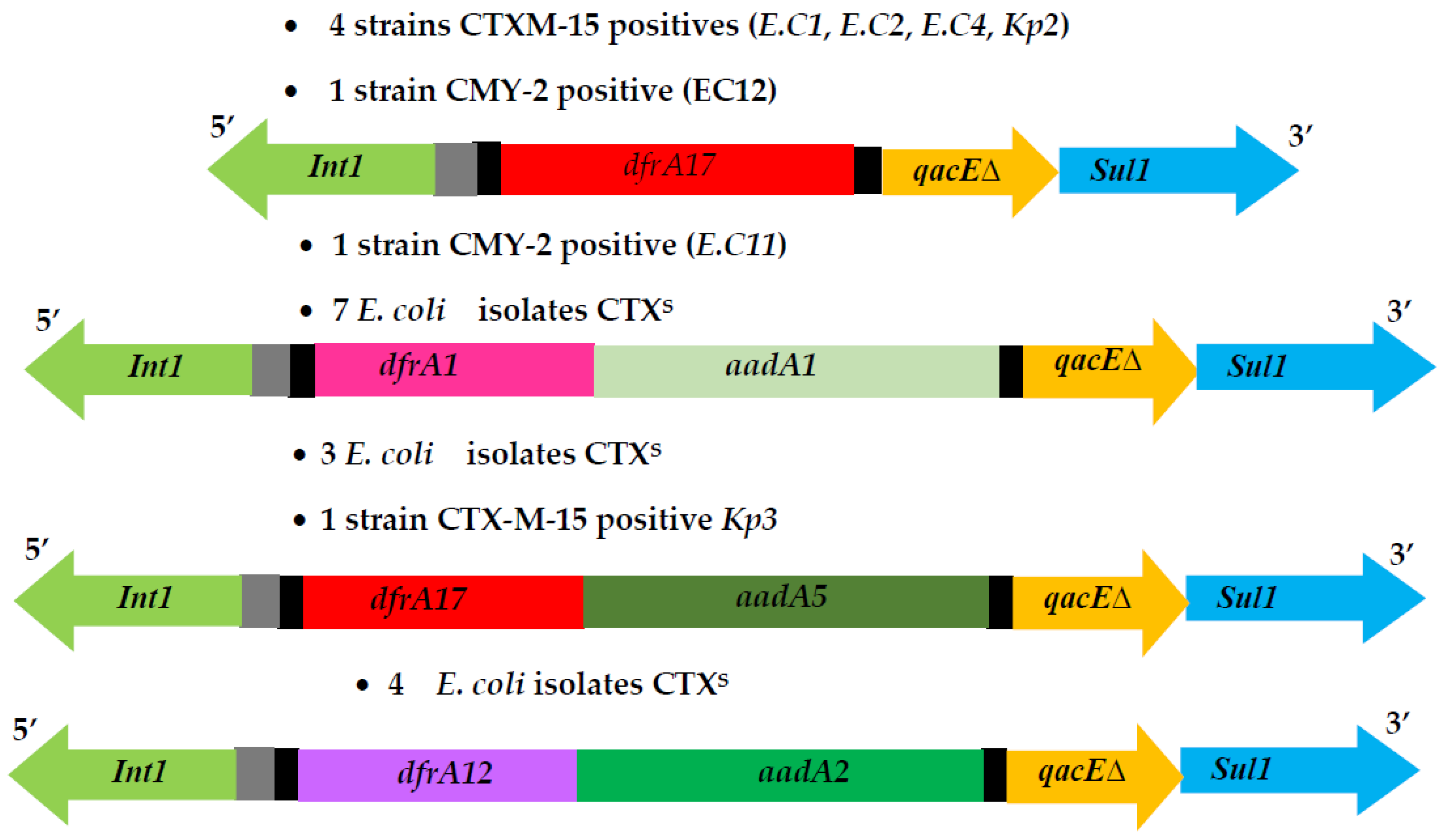 Pathogens 11 00948 g002