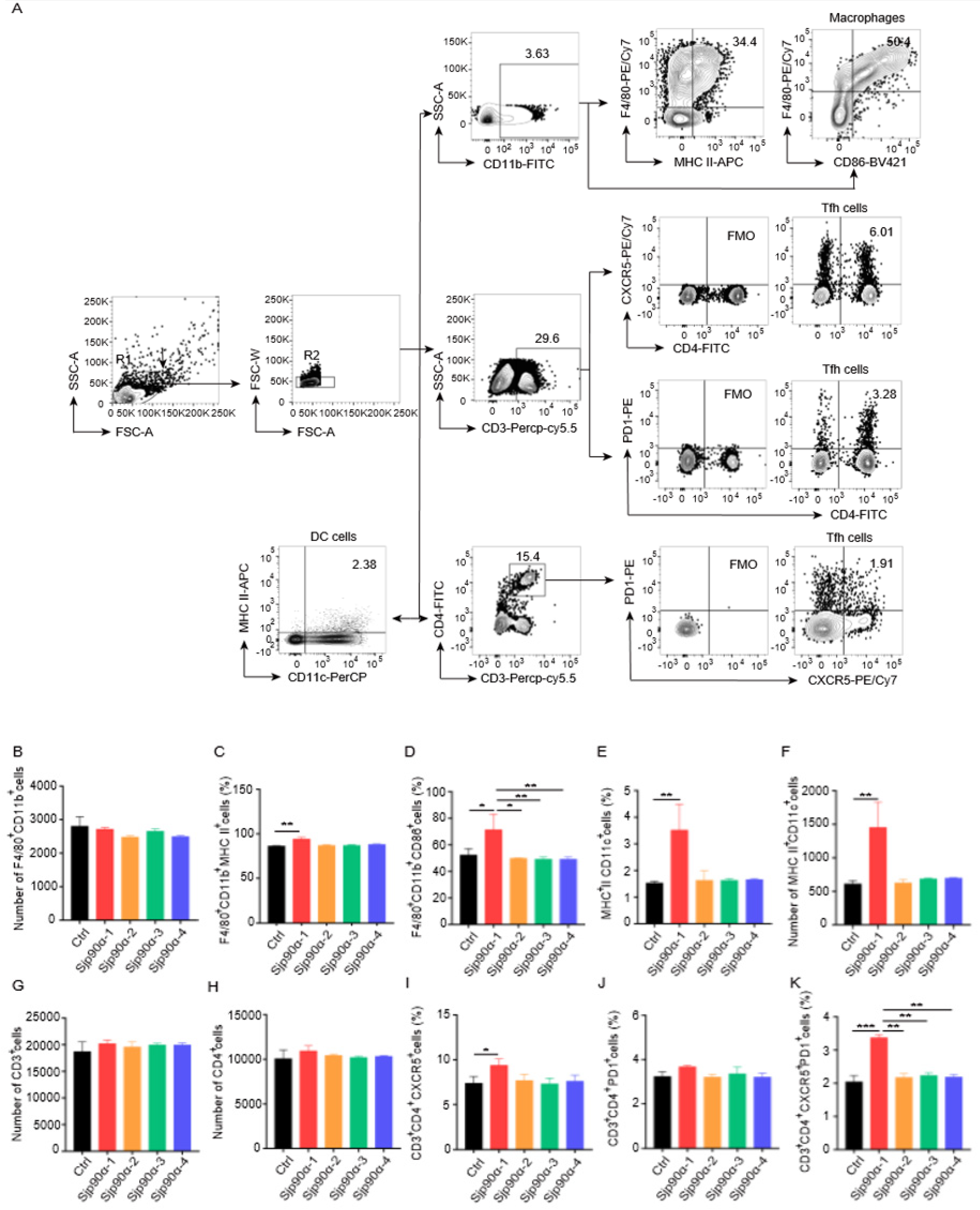 Pathogens 11 01238 g002