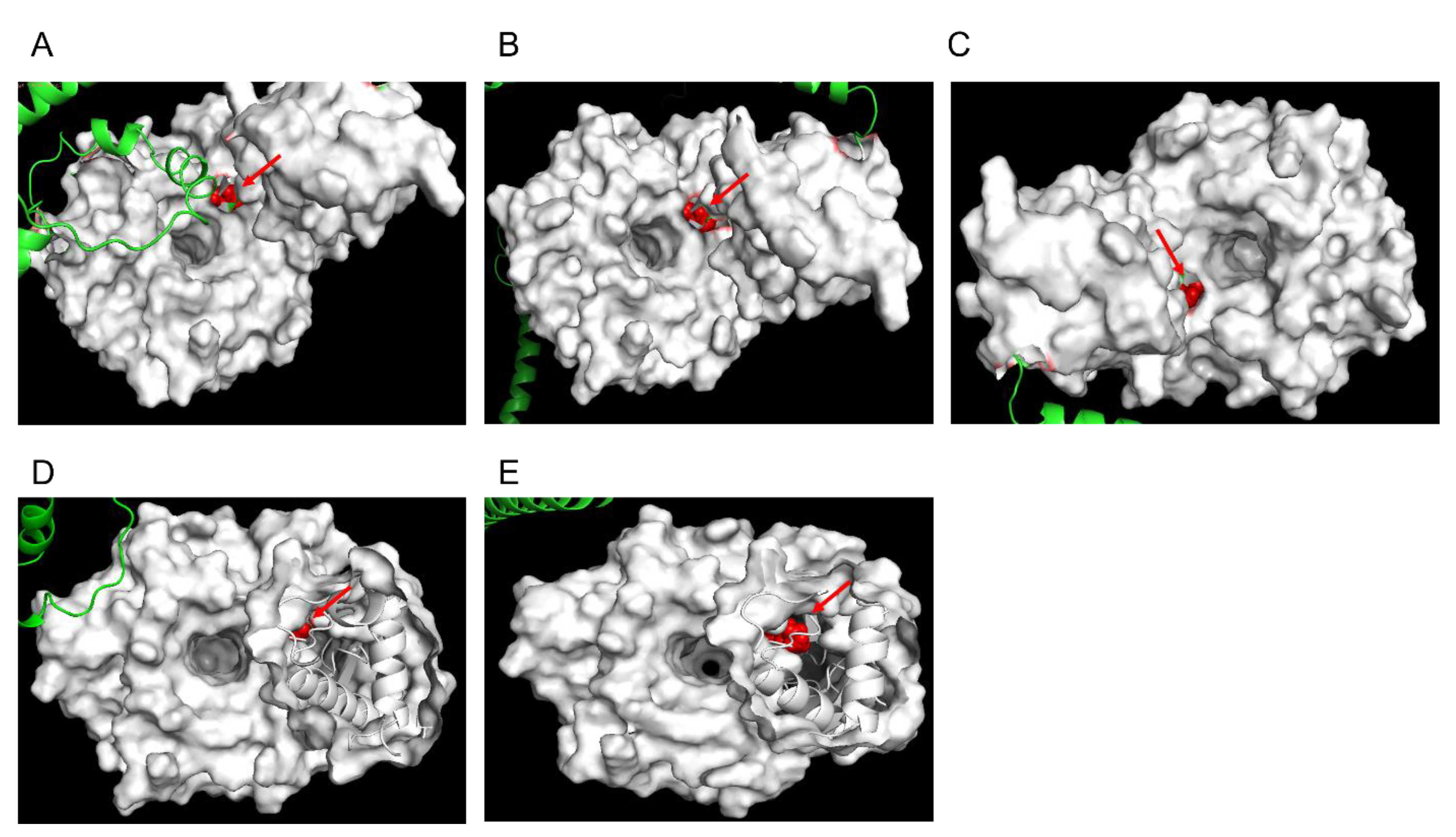 Pathogens 11 01271 g003