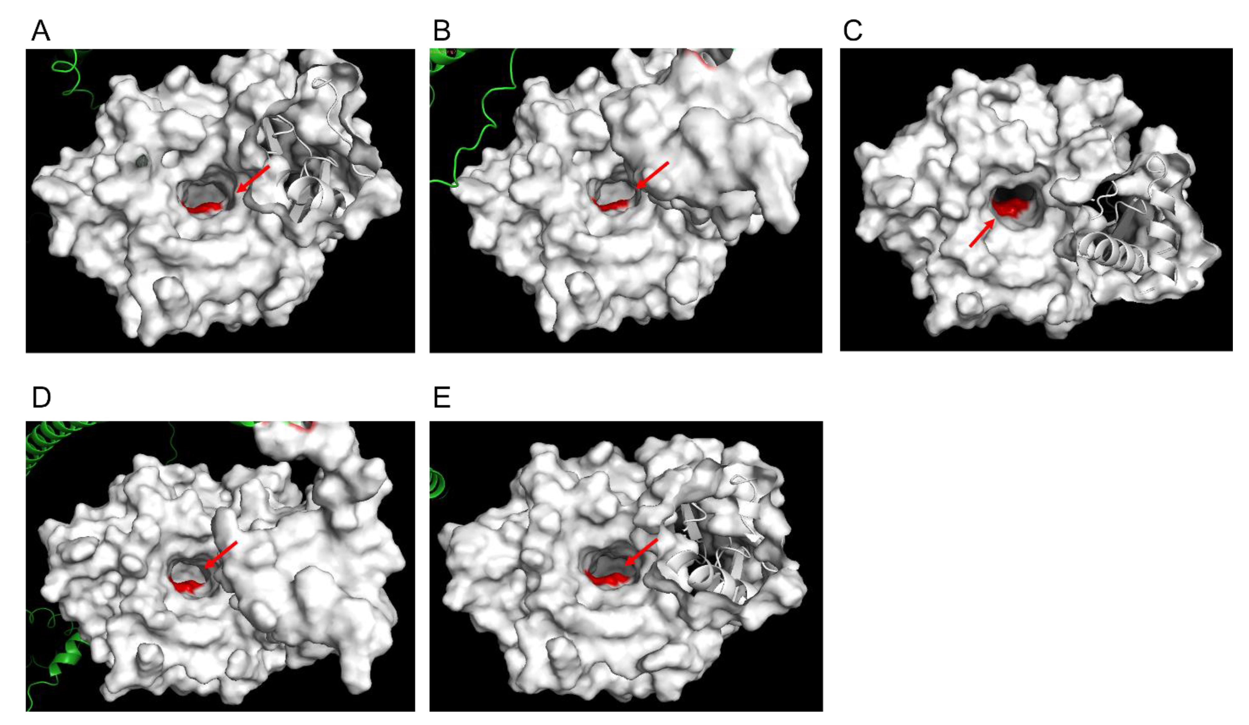 Pathogens 11 01271 g004