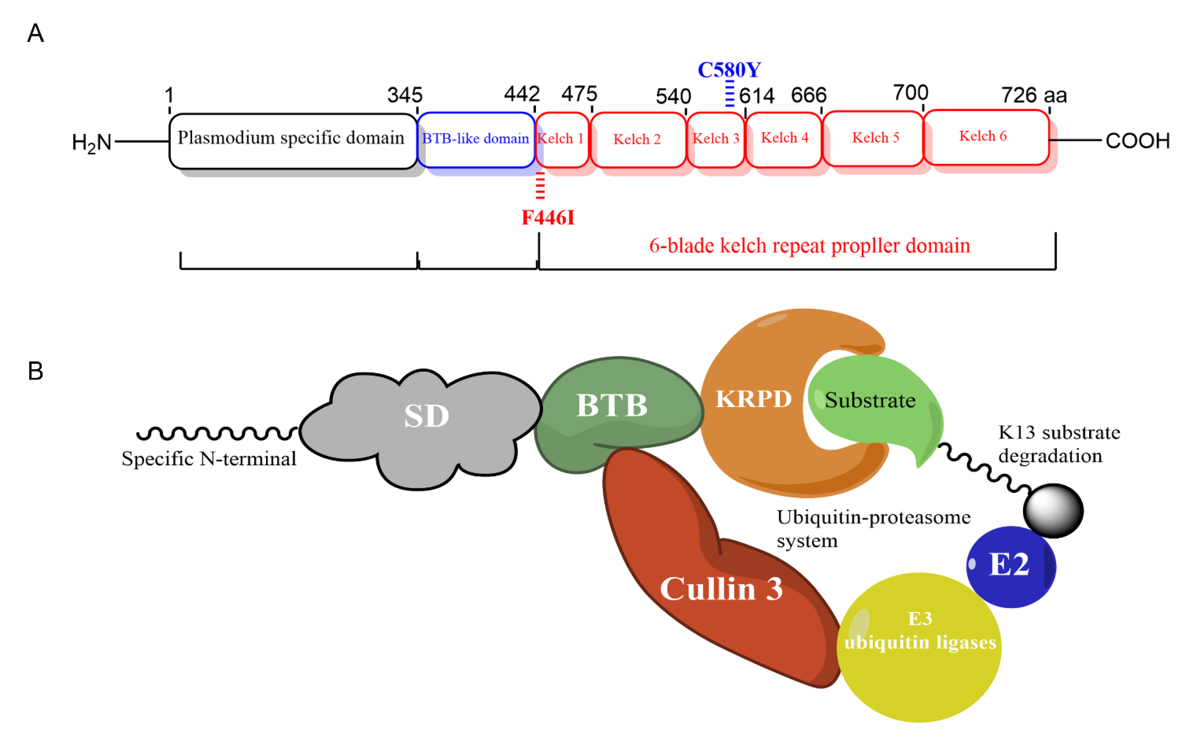 Pathogens 11 01271 g005