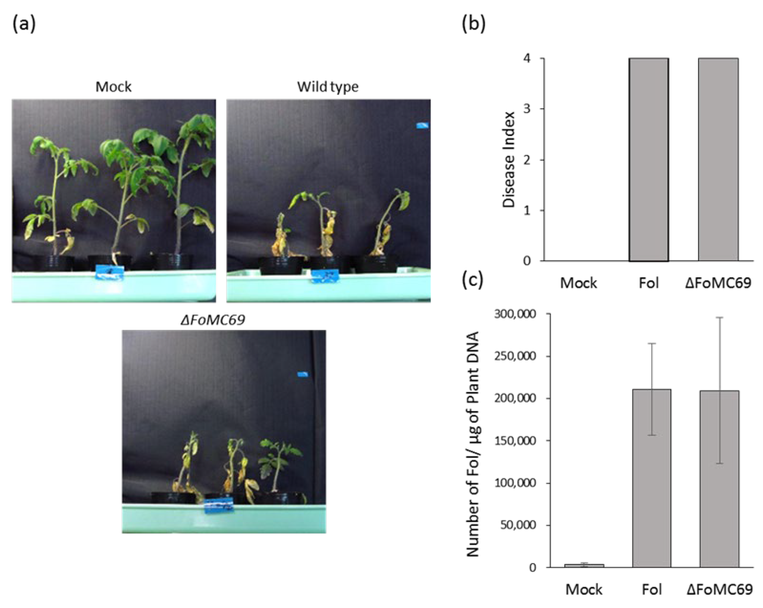 Pathogens 11 01433 g004