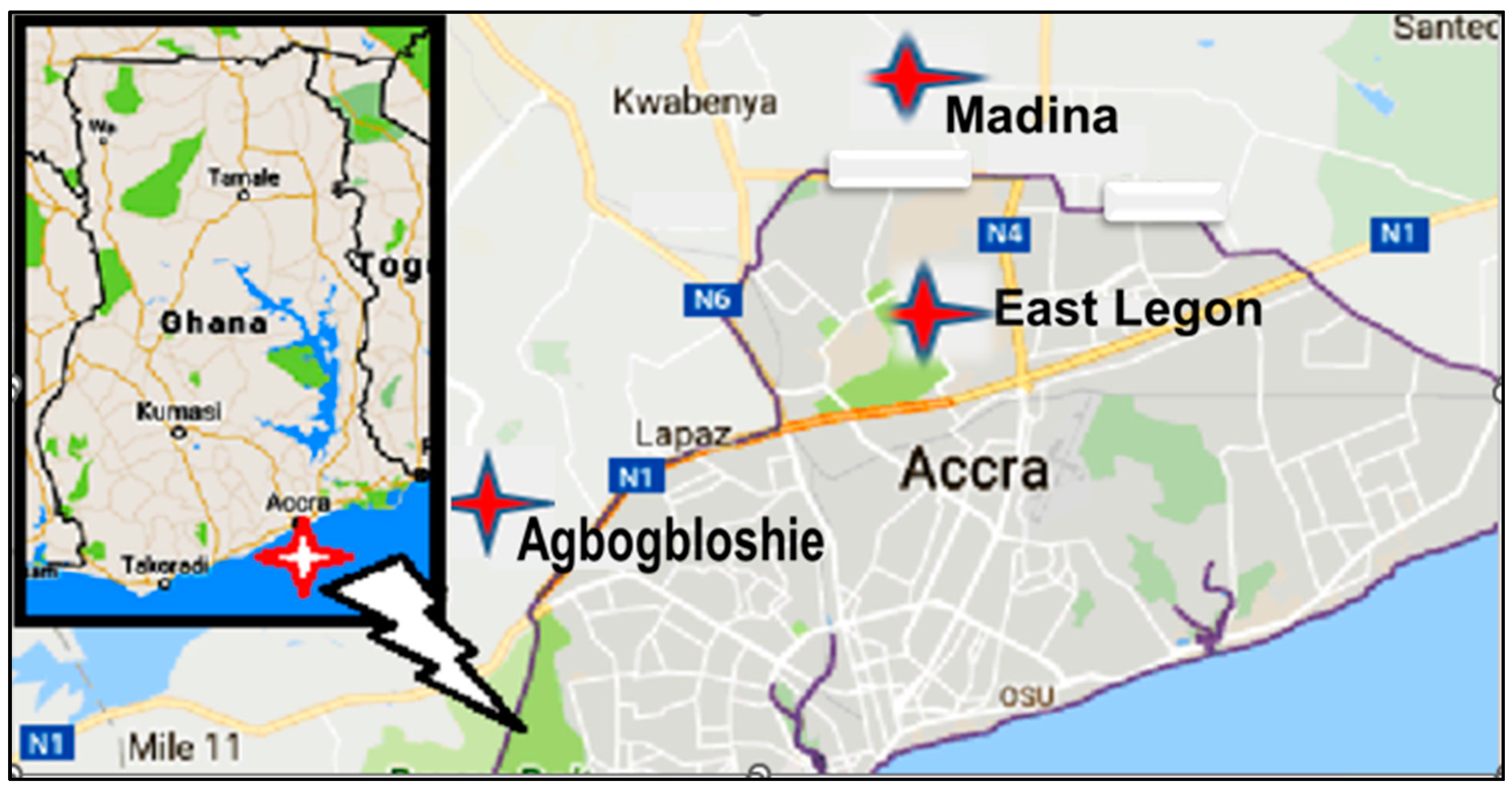 Pathogens 11 01517 g001