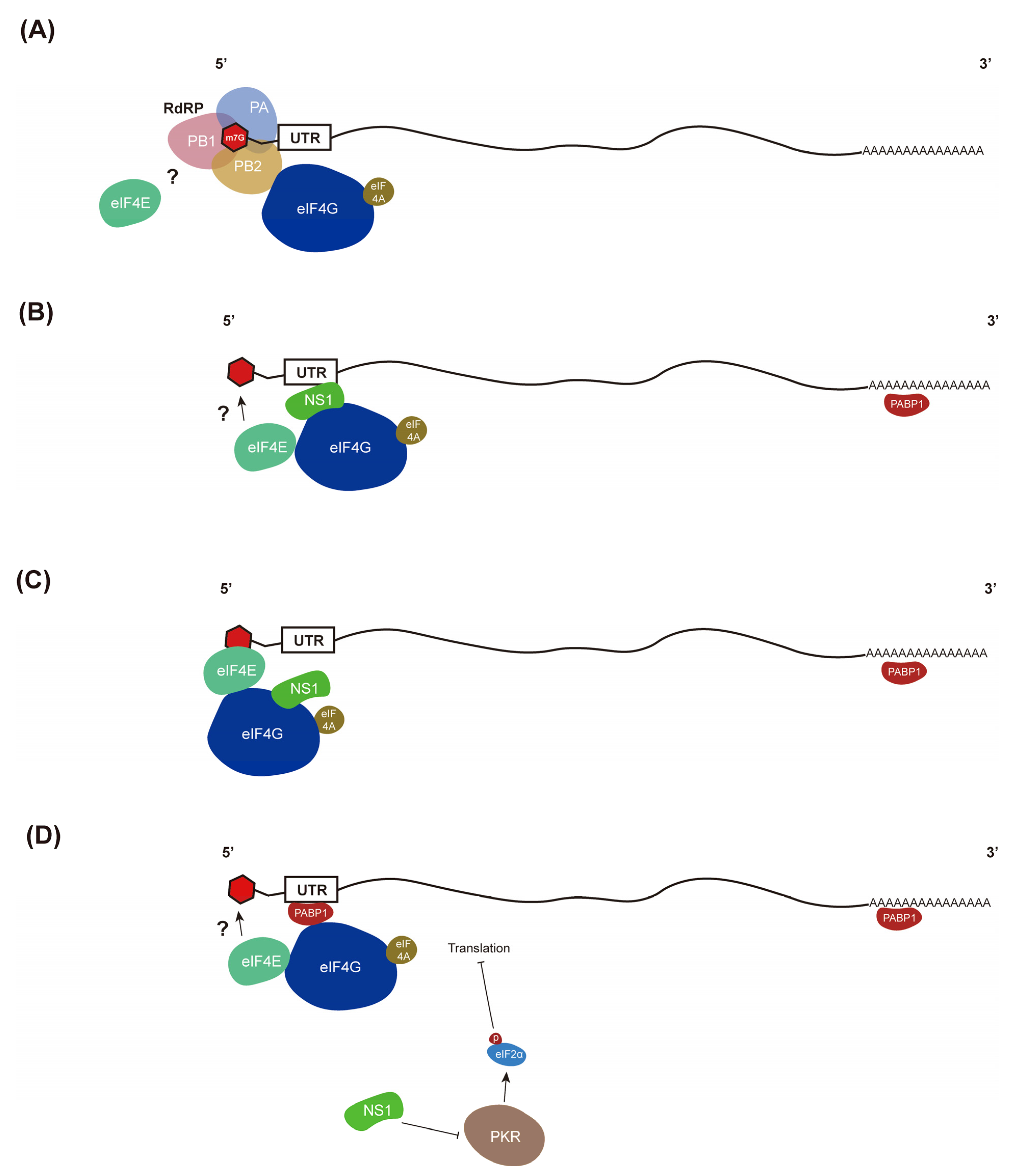 Pathogens 11 01521 g003