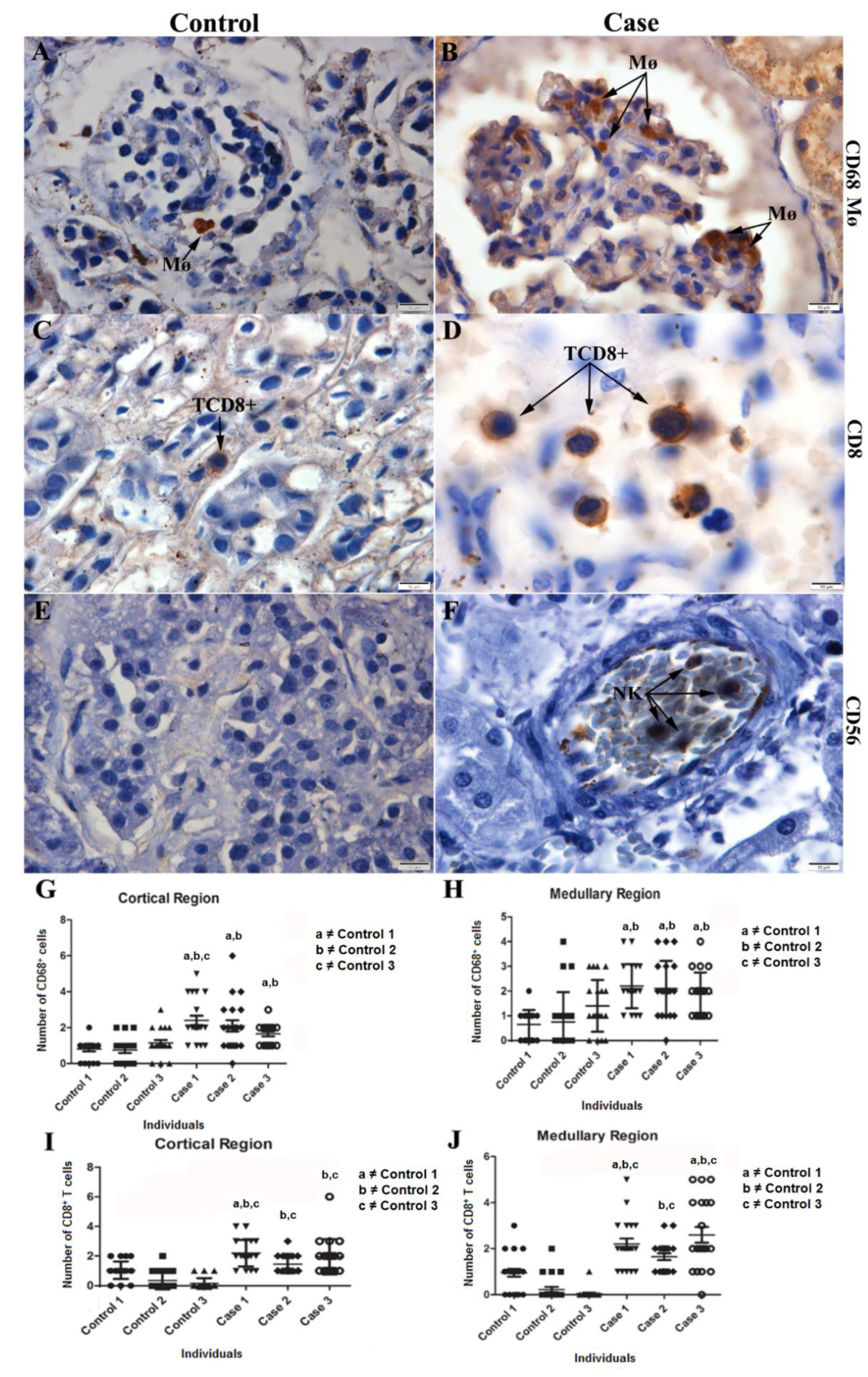 Pathogens 11 01543 g005