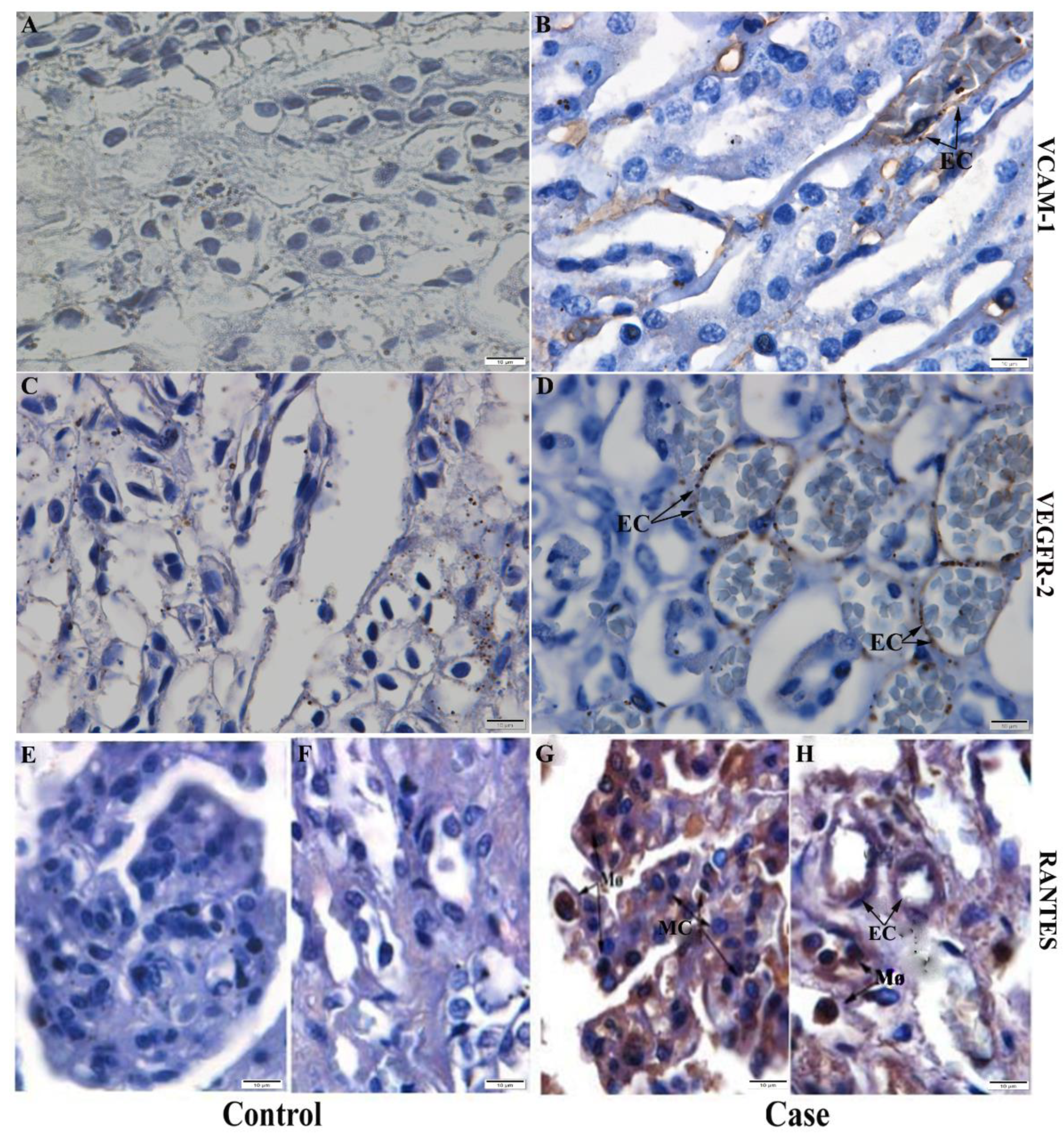 Pathogens 11 01543 g007