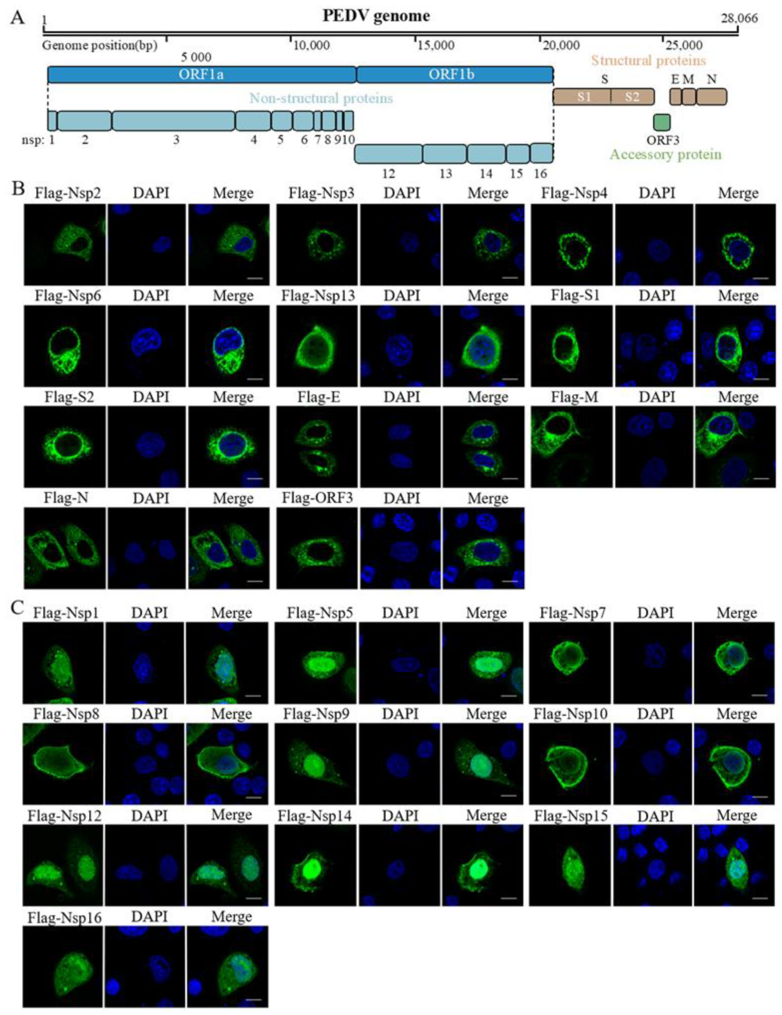 Pathogens 11 01555 g001