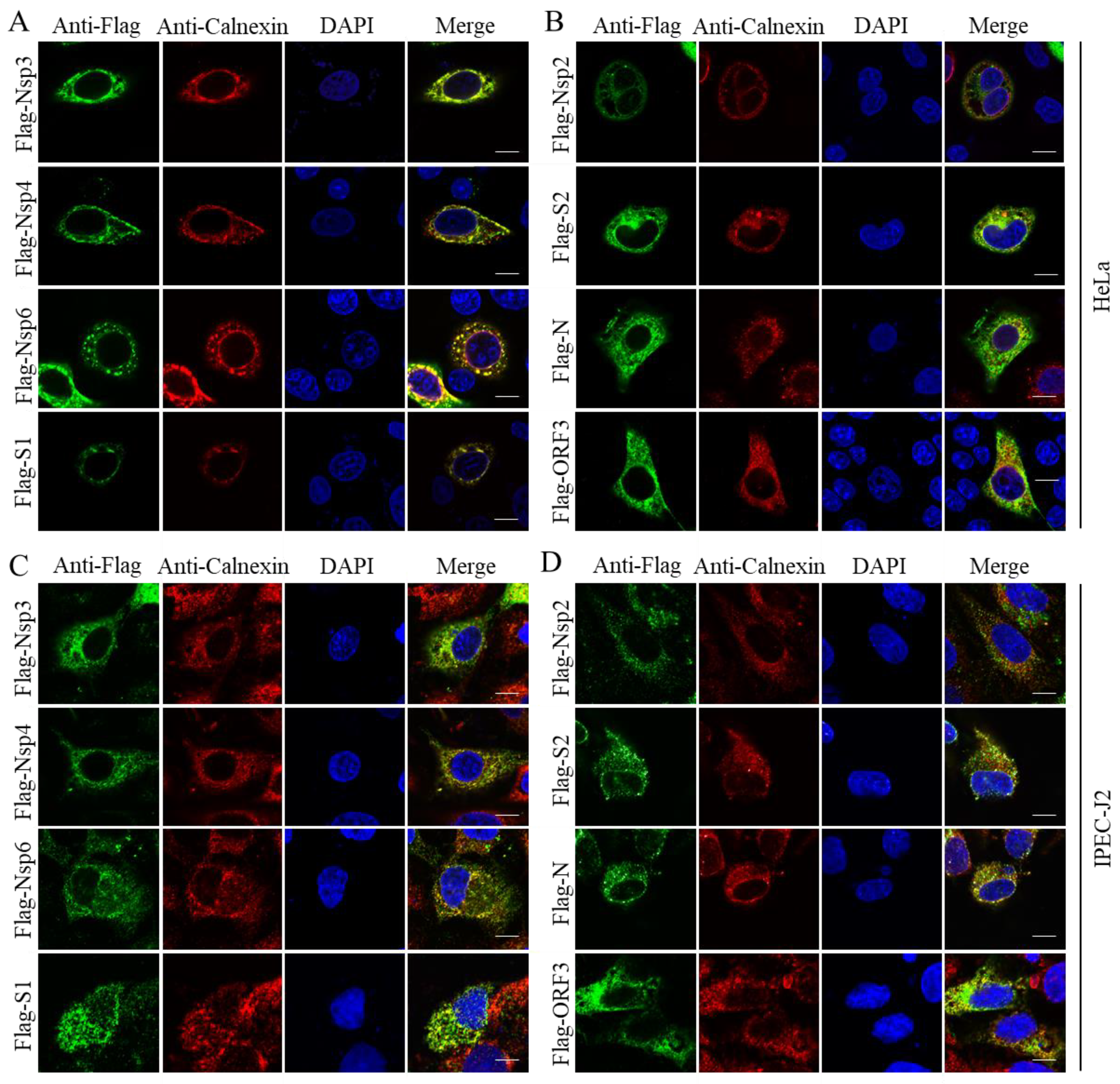 Pathogens 11 01555 g002