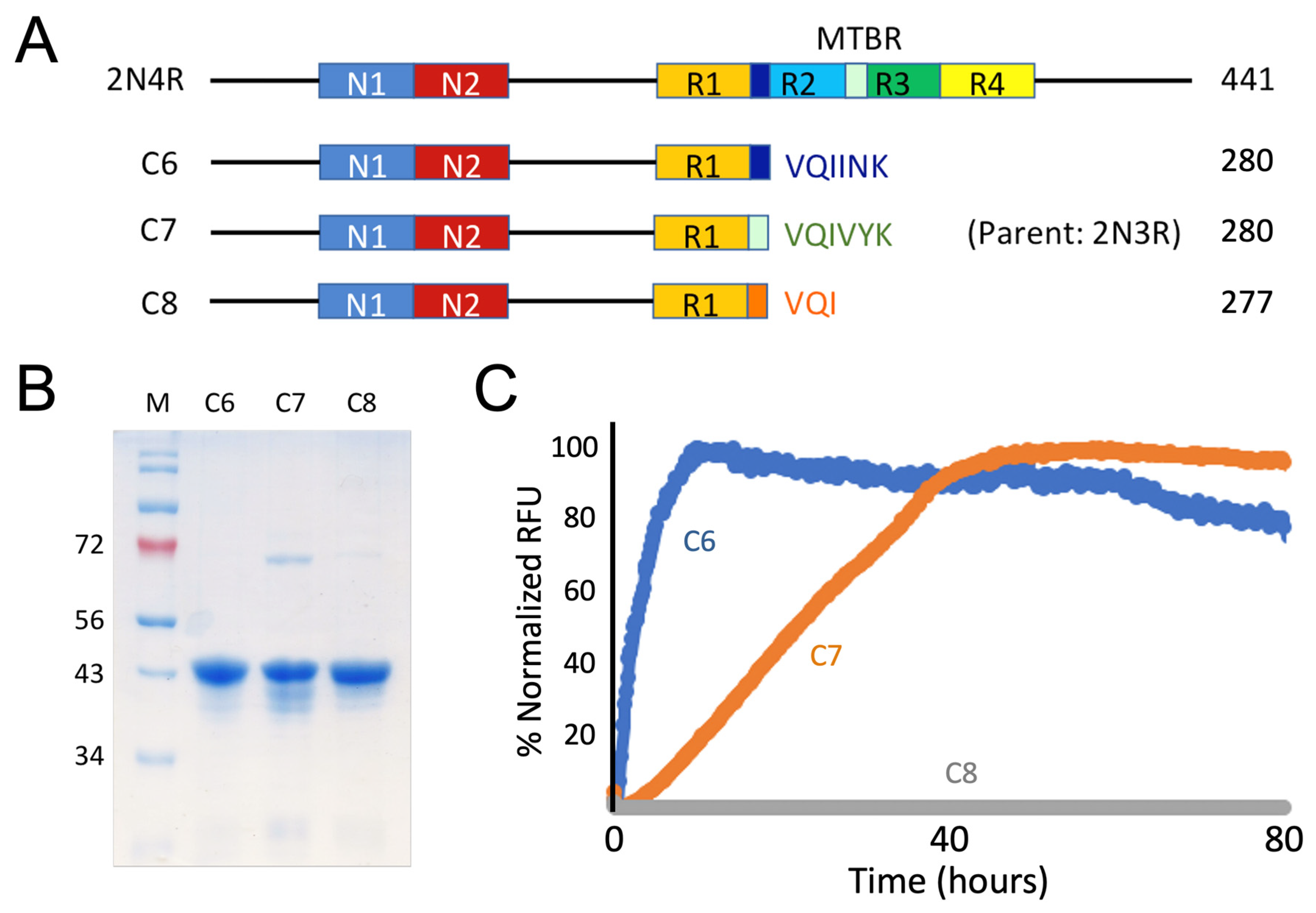 Pathogens 11 01559 g004