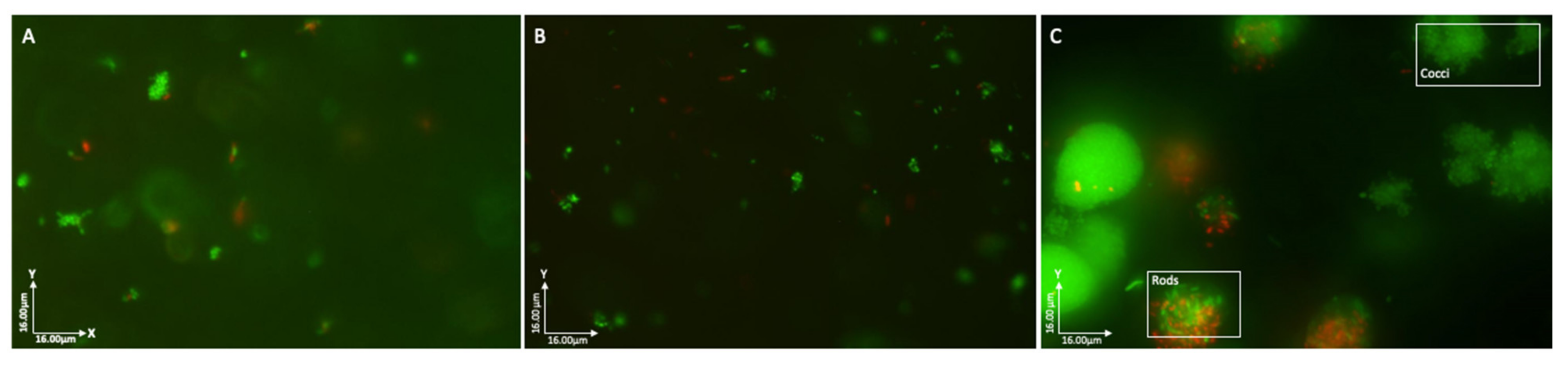Pathogens 12 00118 g007 Pathogens 12 00118 g007