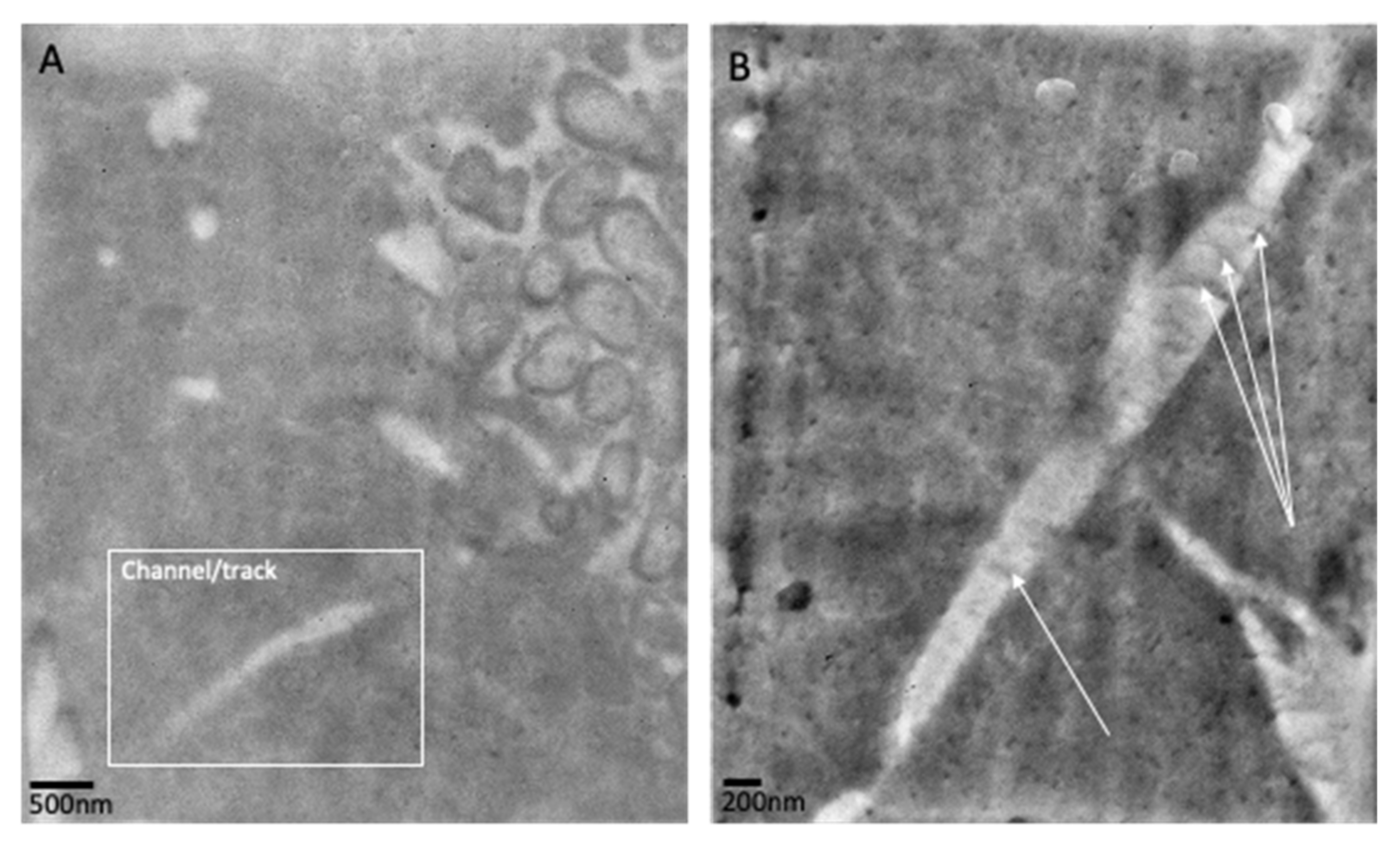 Pathogens 12 00118 g009 Pathogens 12 00118 g009