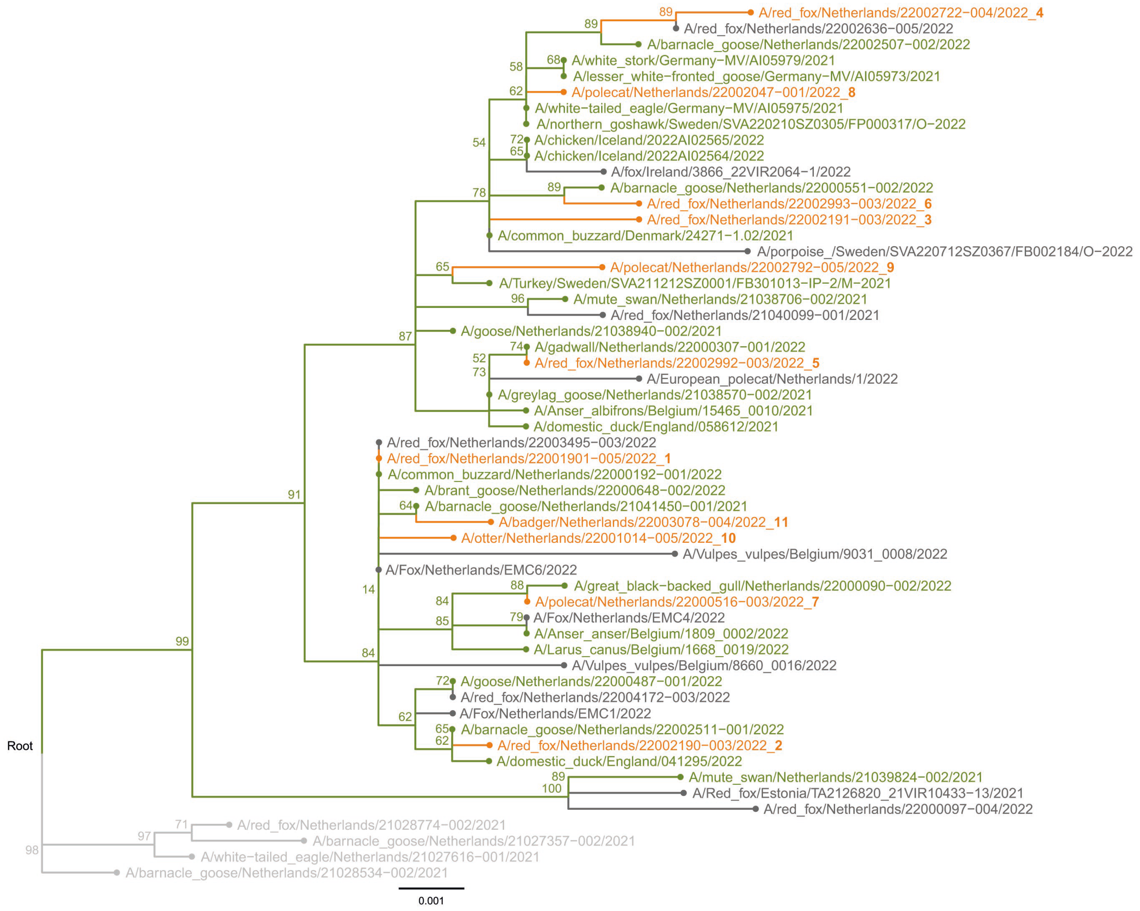 Pathogens 12 00168 g002 Pathogens 12 00168 g002
