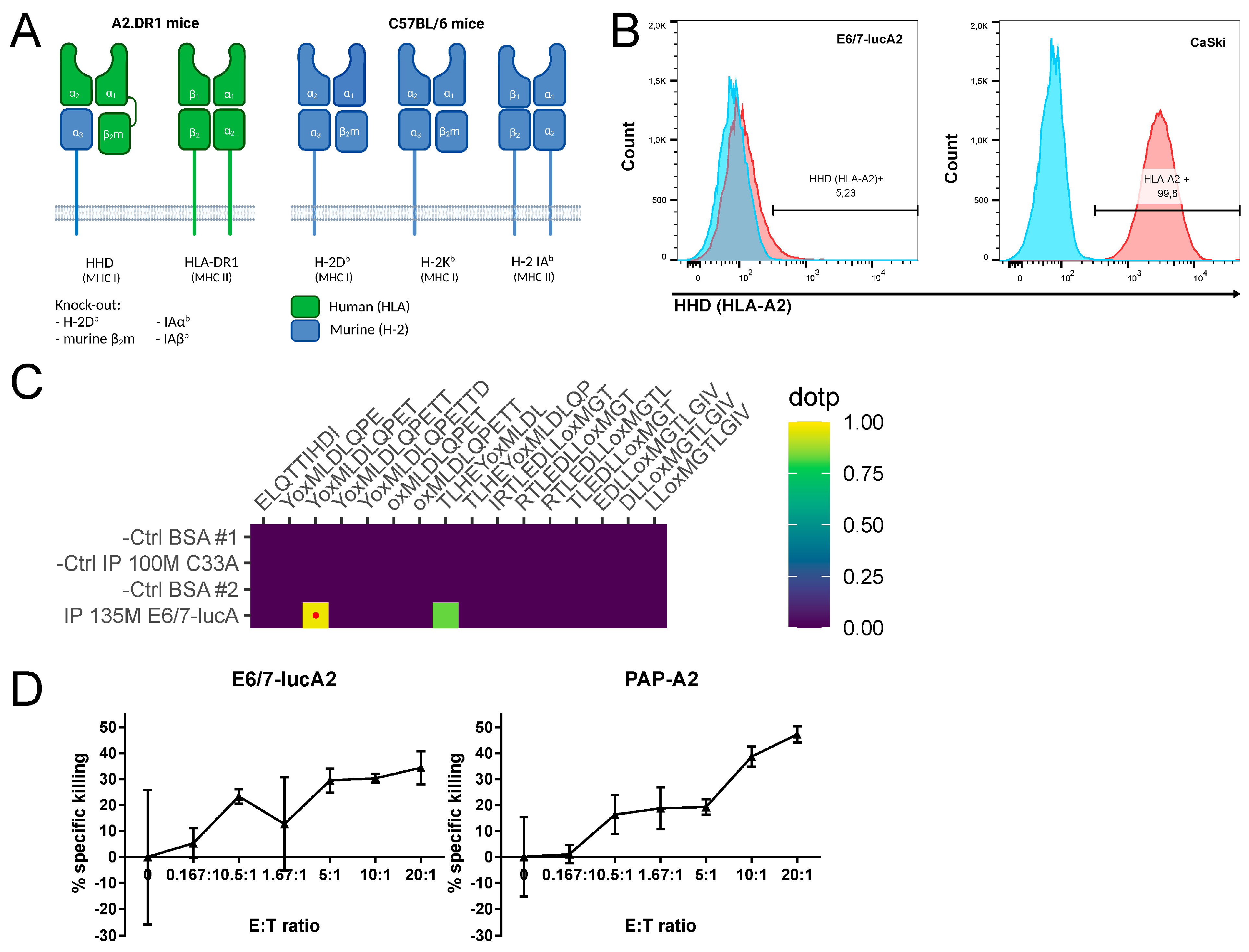 Pathogens 12 00188 g002