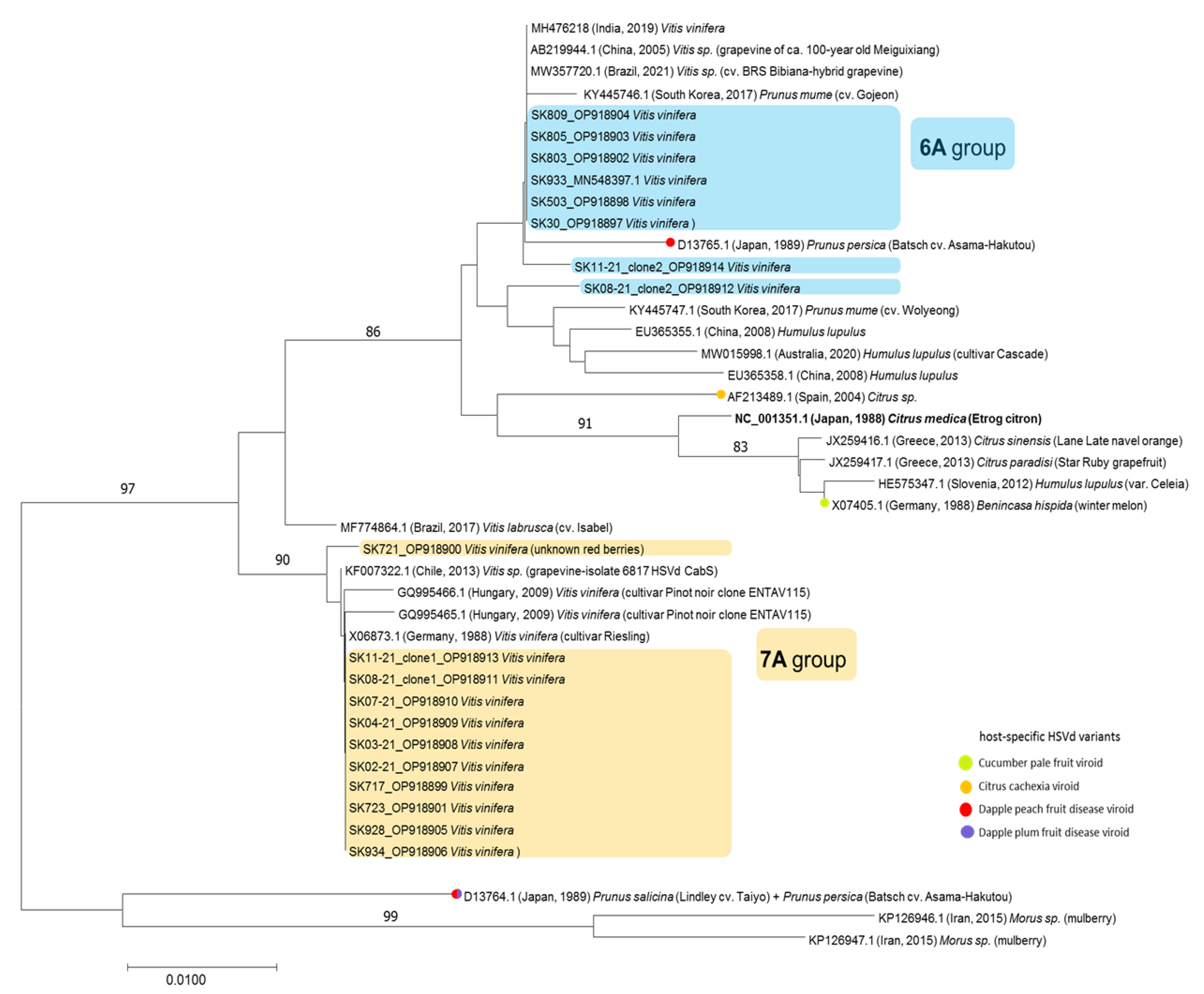 Pathogens 12 00205 g002