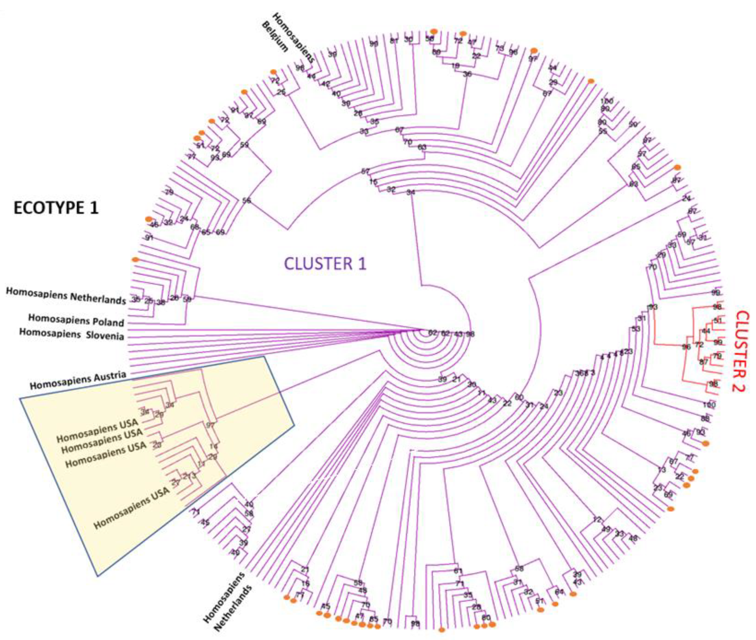 Pathogens 12 00216 g002 Pathogens 12 00216 g002