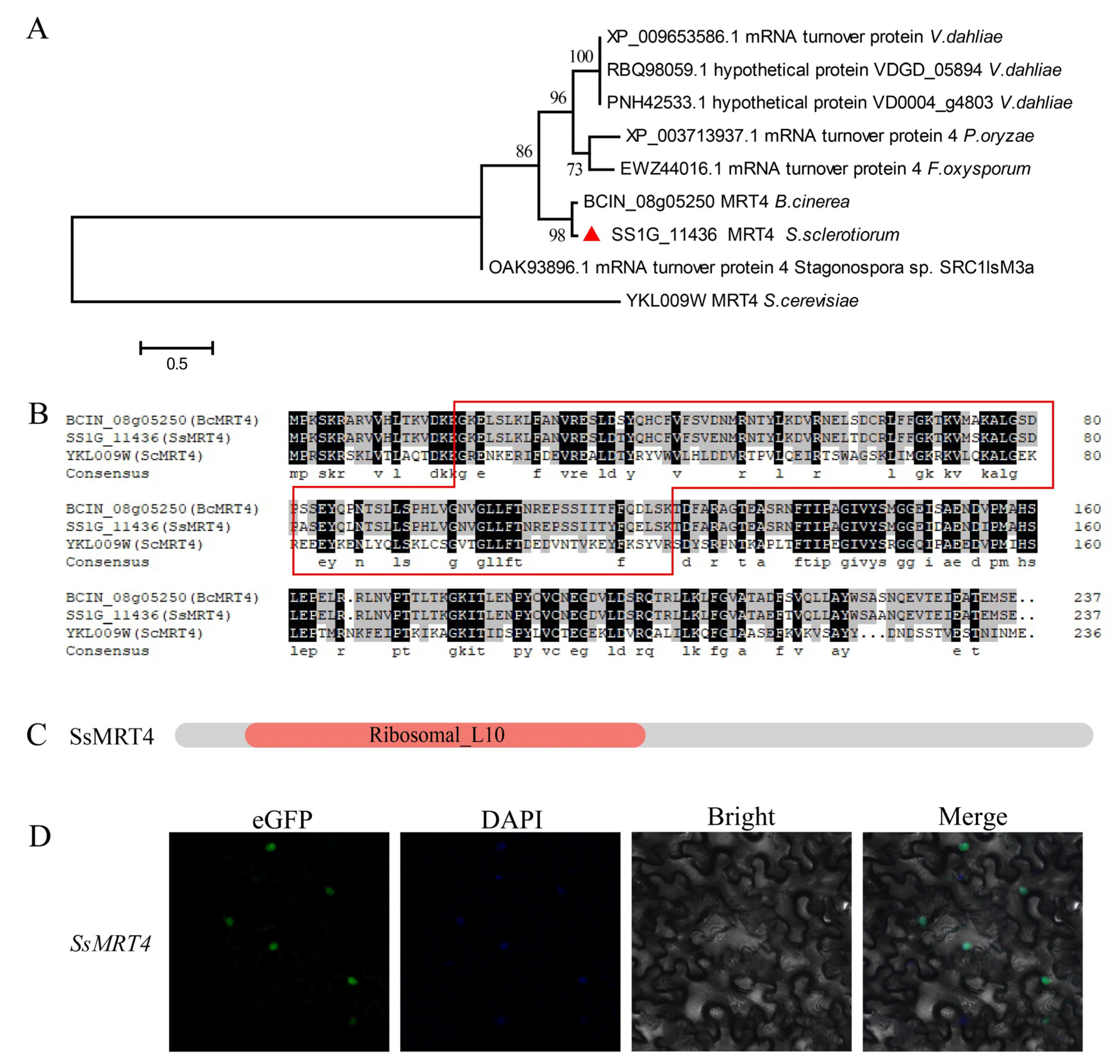 Pathogens 12 00281 g001 Pathogens 12 00281 g001