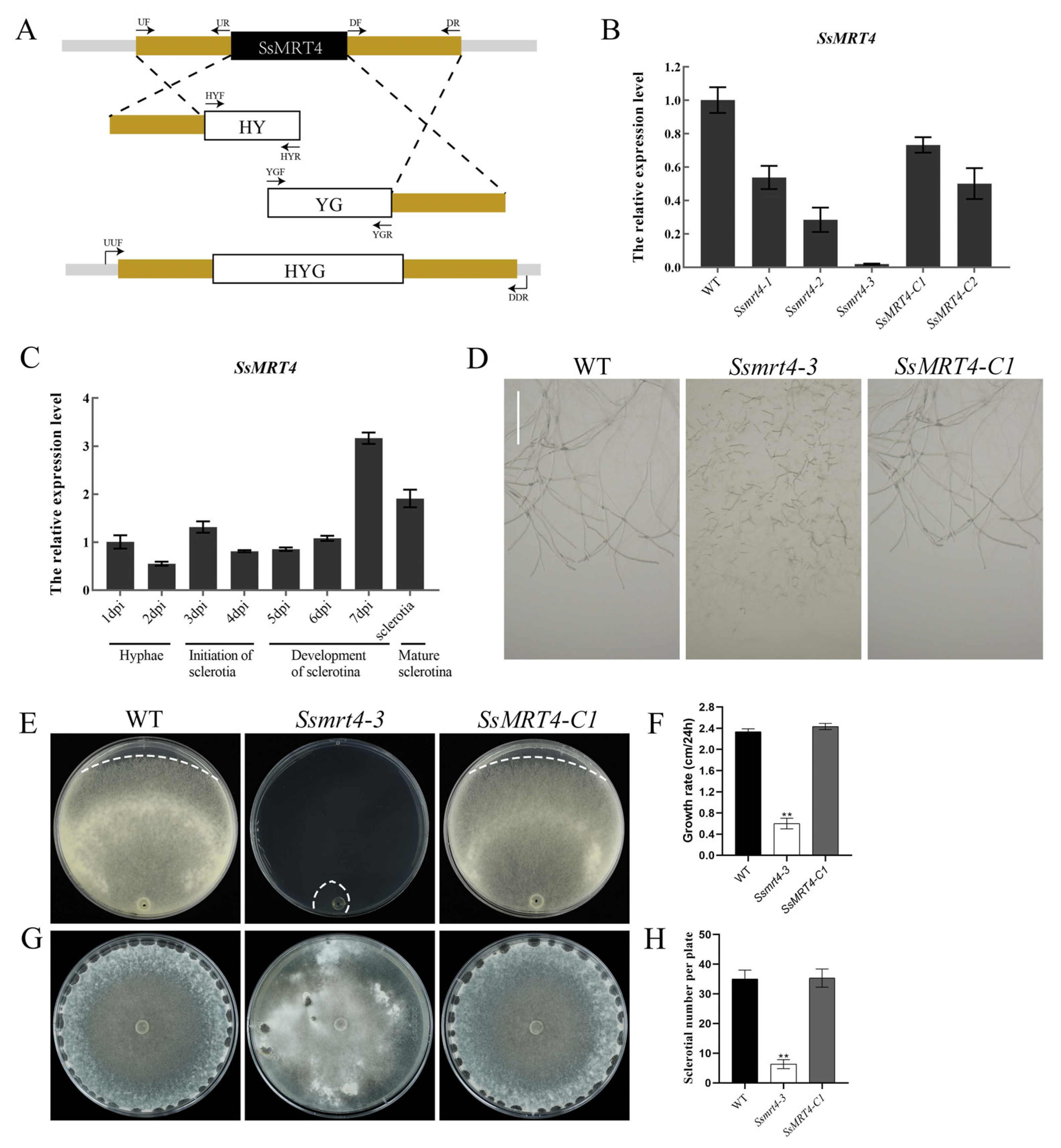 Pathogens 12 00281 g002 Pathogens 12 00281 g002