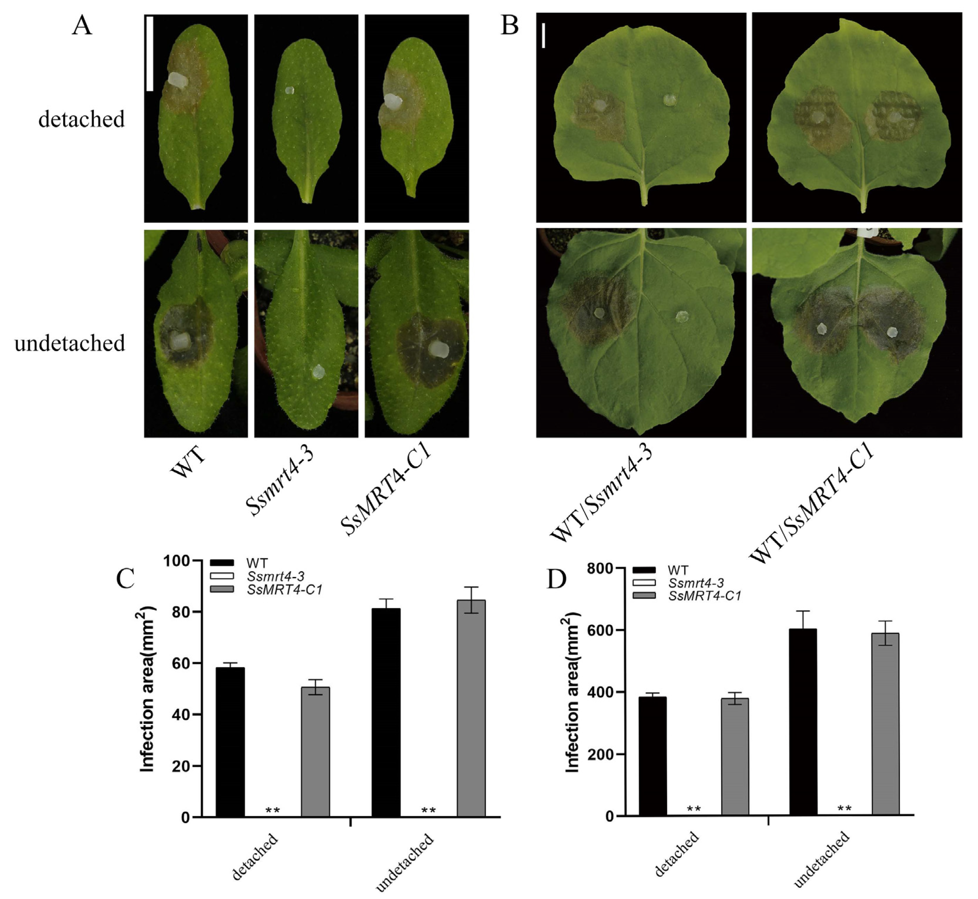 Pathogens 12 00281 g003 Pathogens 12 00281 g003