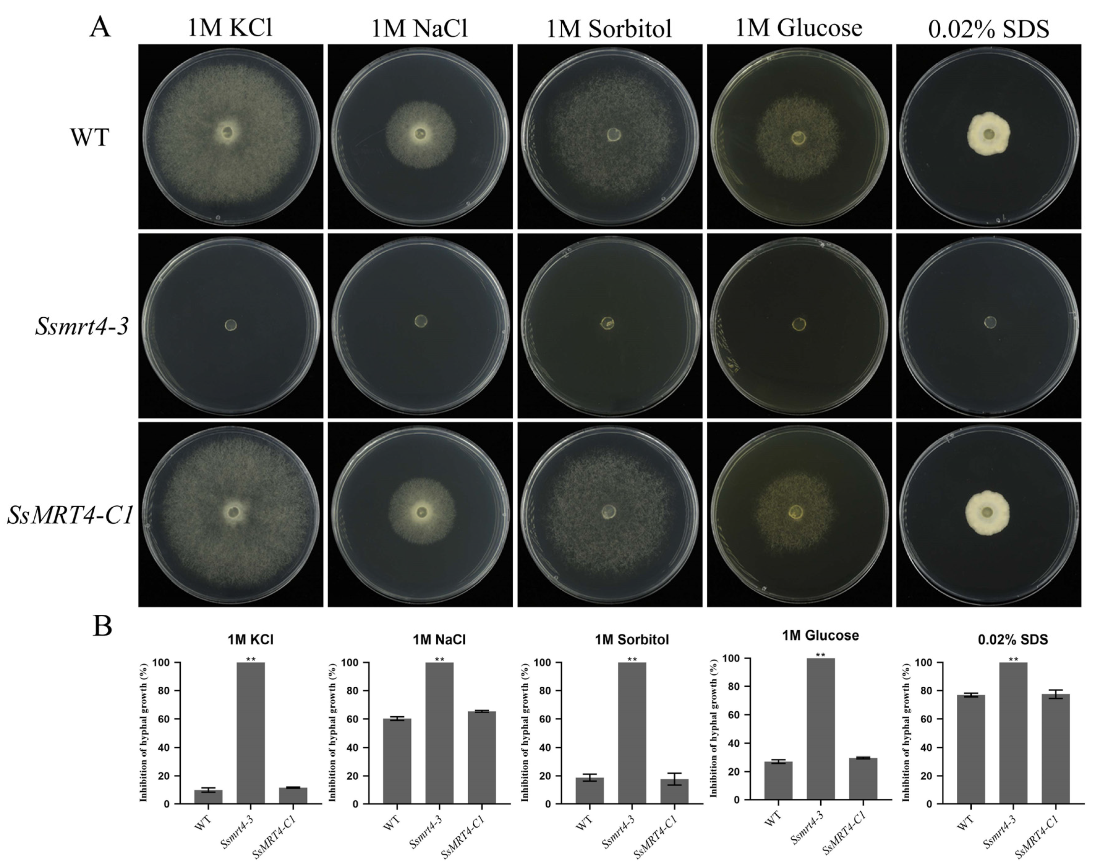Pathogens 12 00281 g006 Pathogens 12 00281 g006