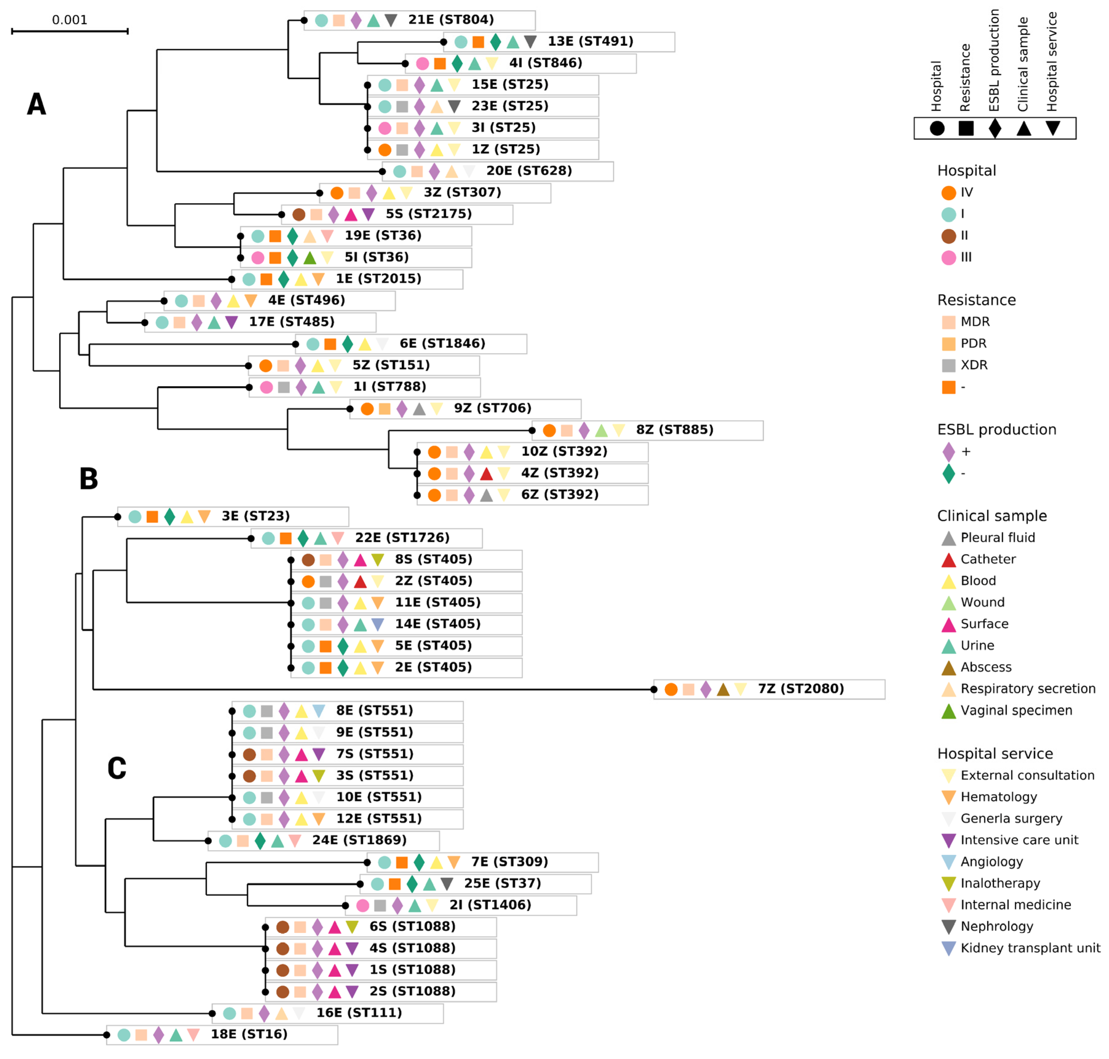 Pathogens 12 00634 g004