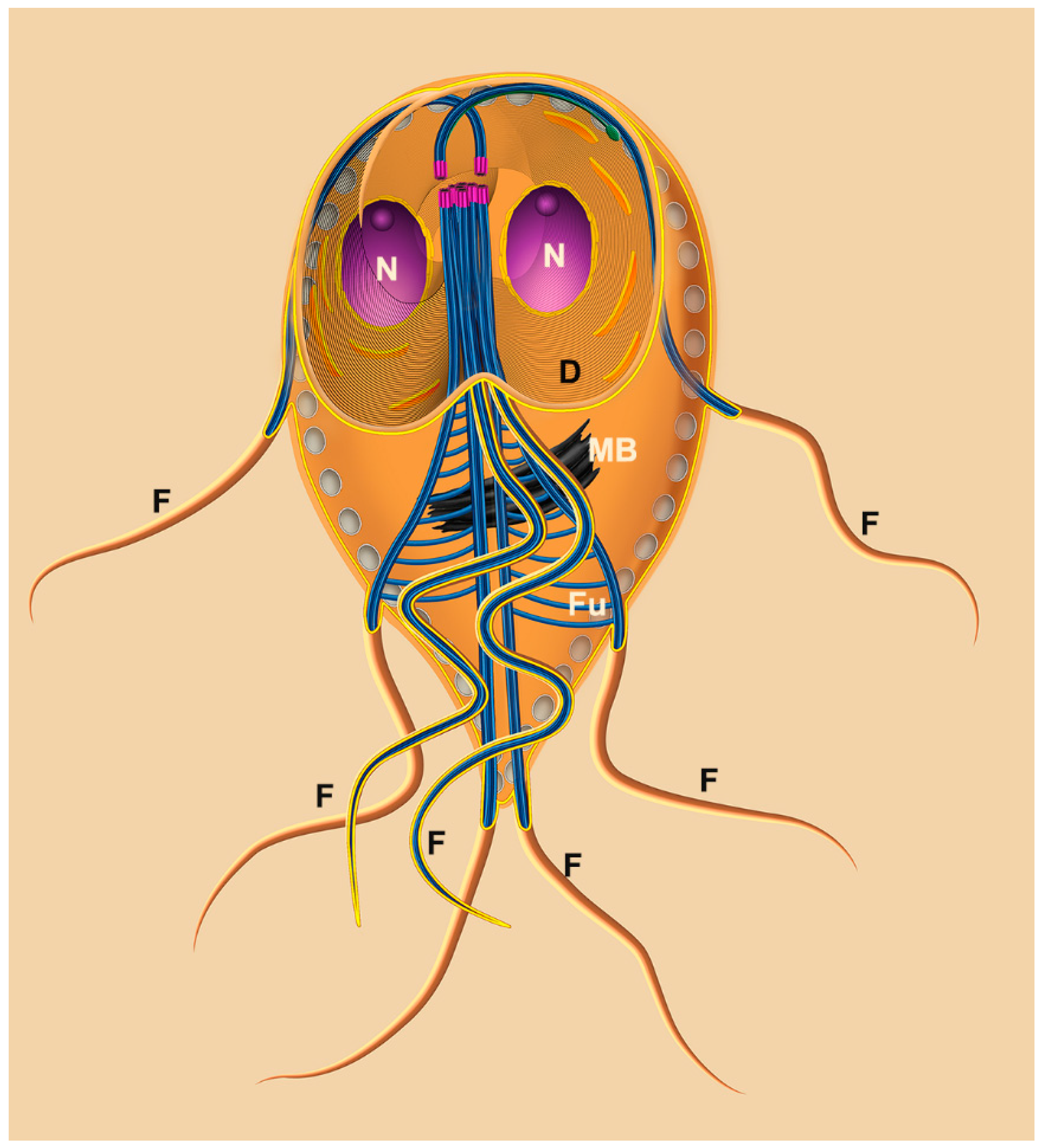 Pathogens 12 00810 g002 Pathogens 12 00810 g002