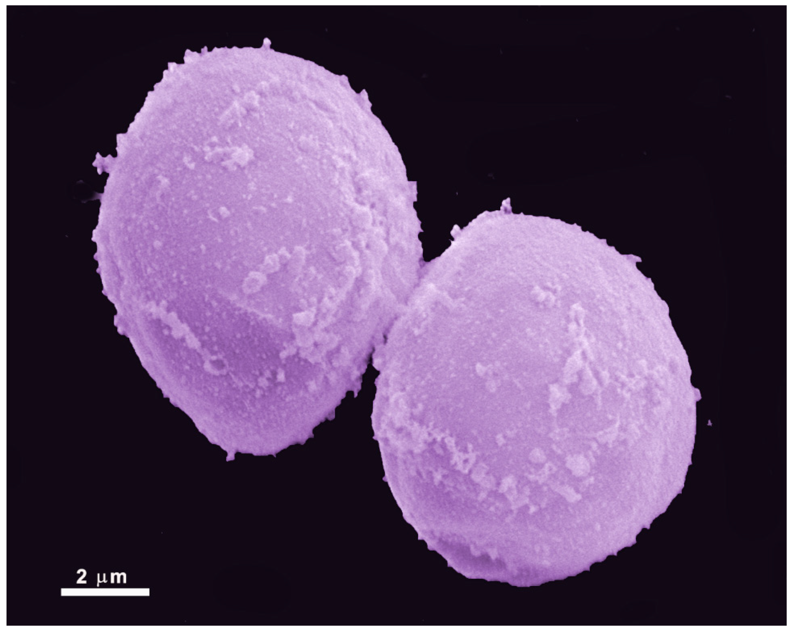 Pathogens 12 00810 g004 Pathogens 12 00810 g004