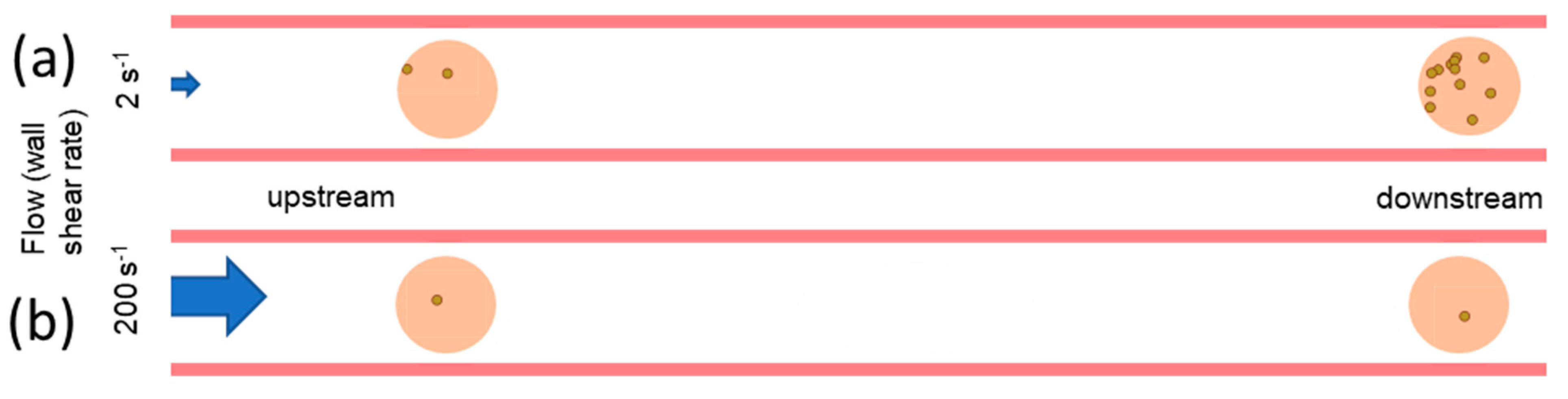Pathogens 12 00941 g007
