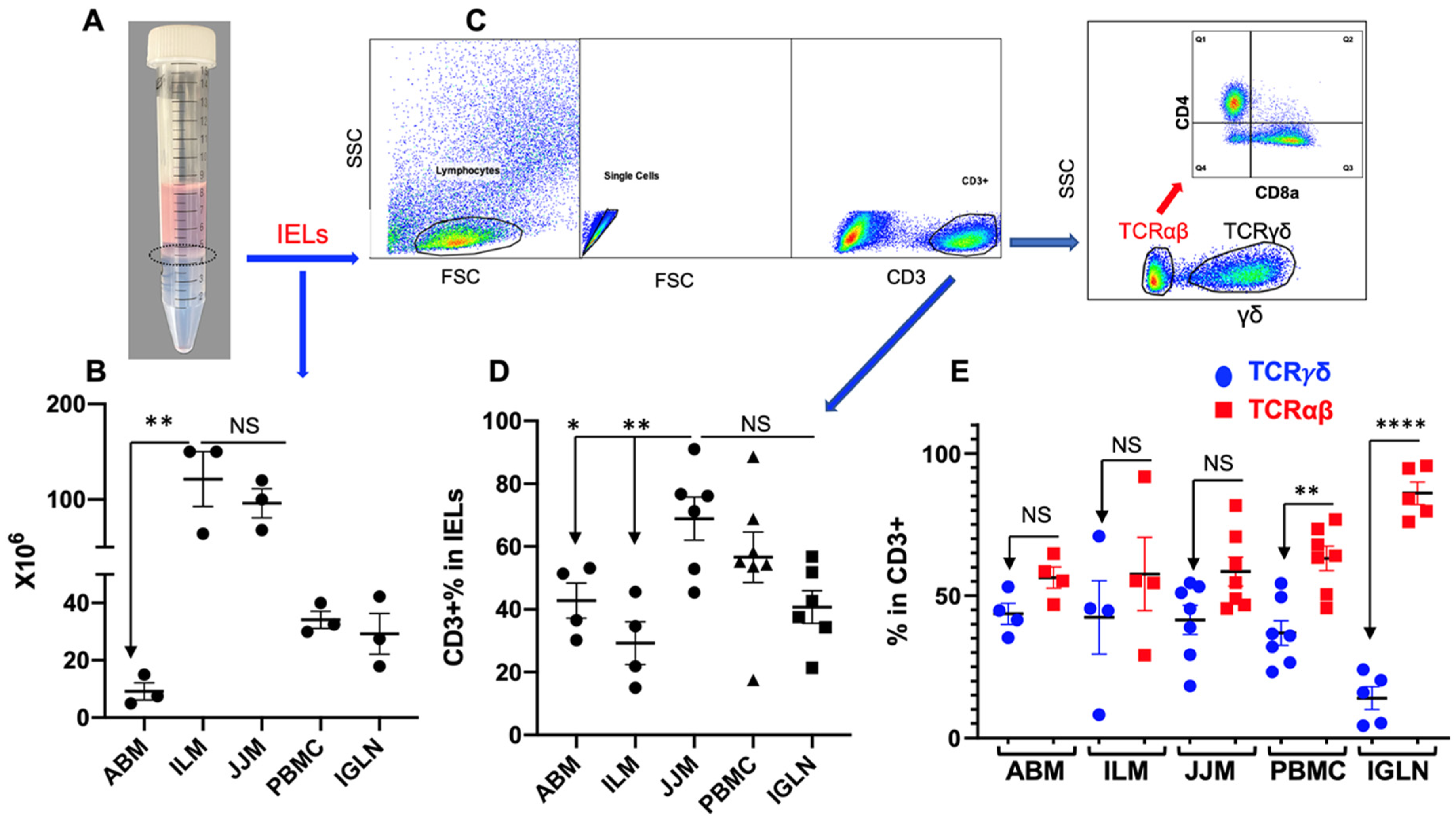 Pathogens 12 01173 g001