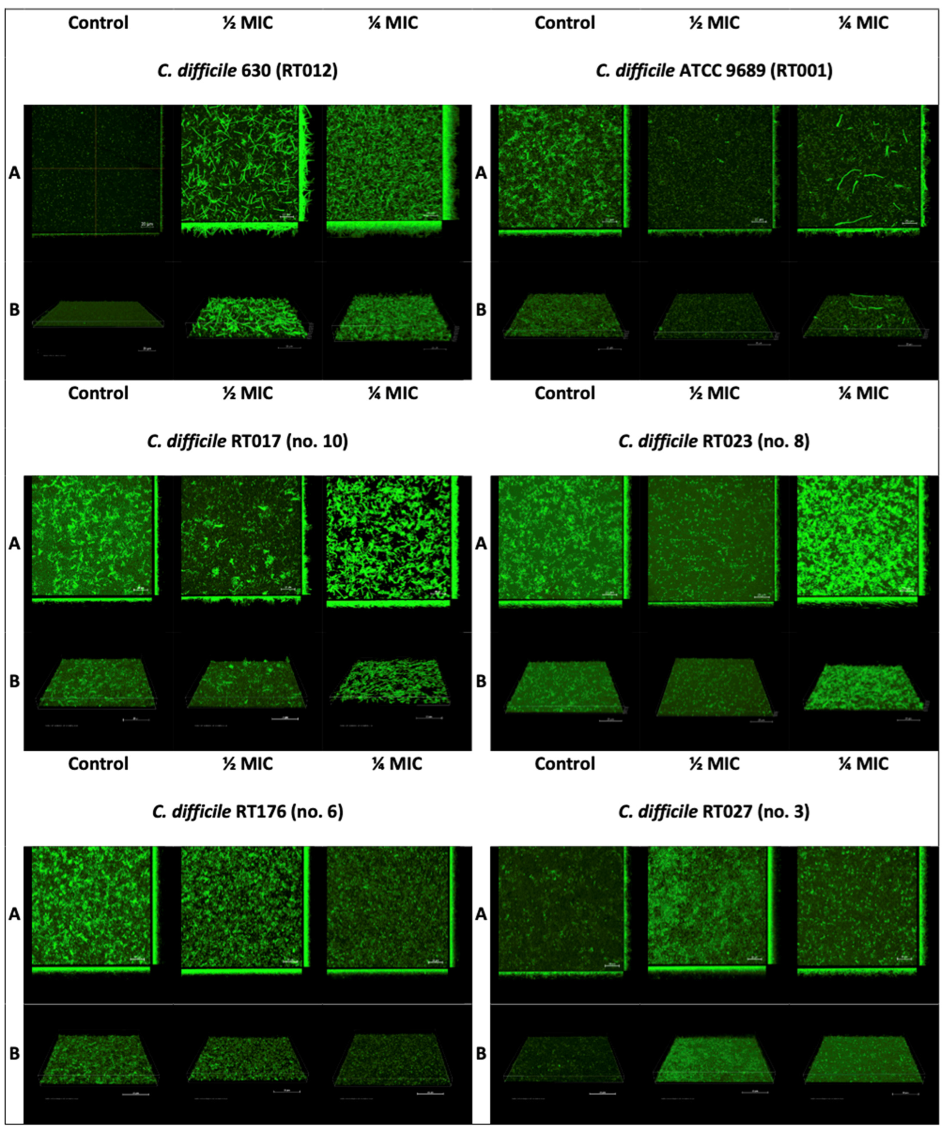 Pathogens 12 01244 g002