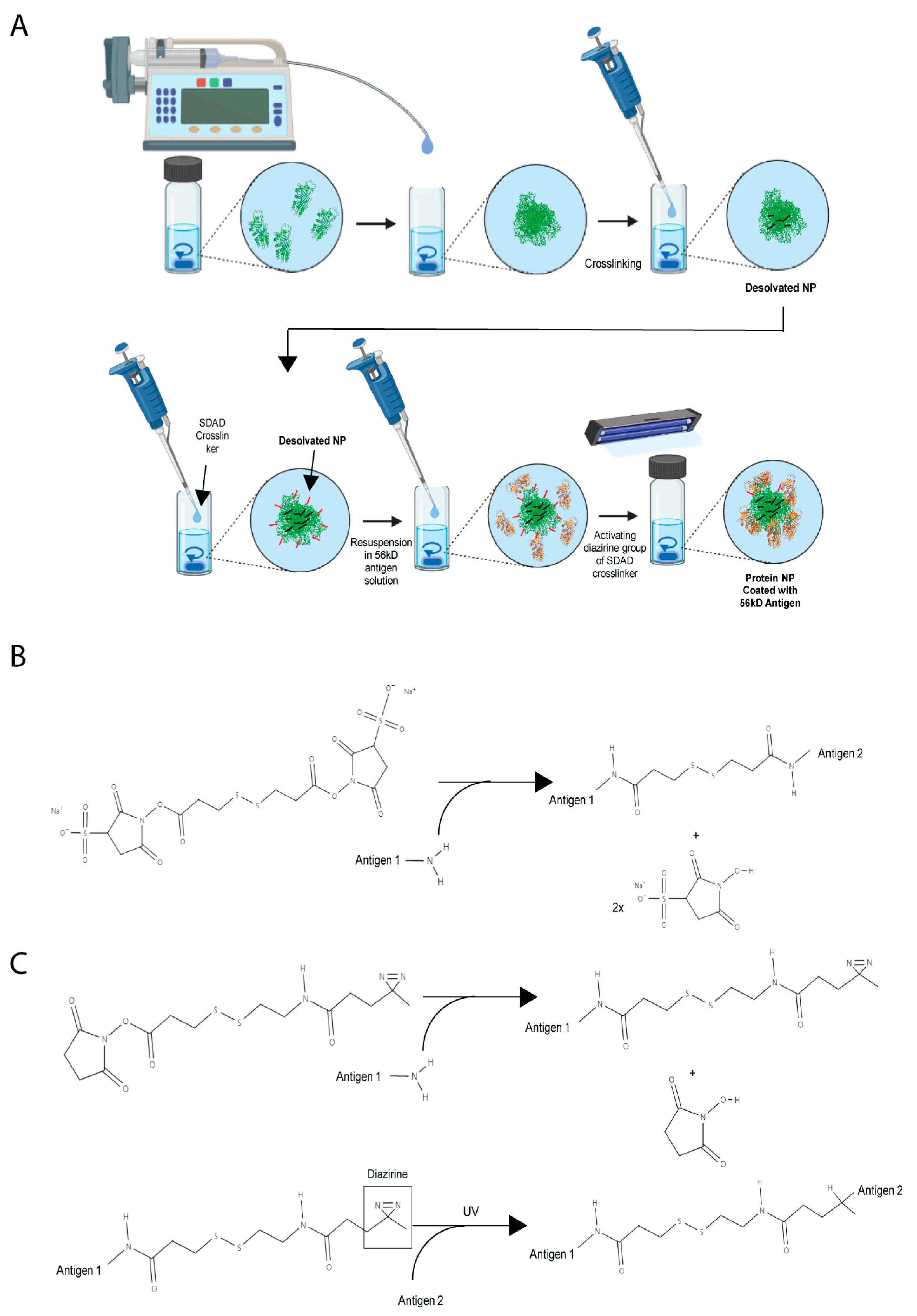 Pathogens 12 01390 g001