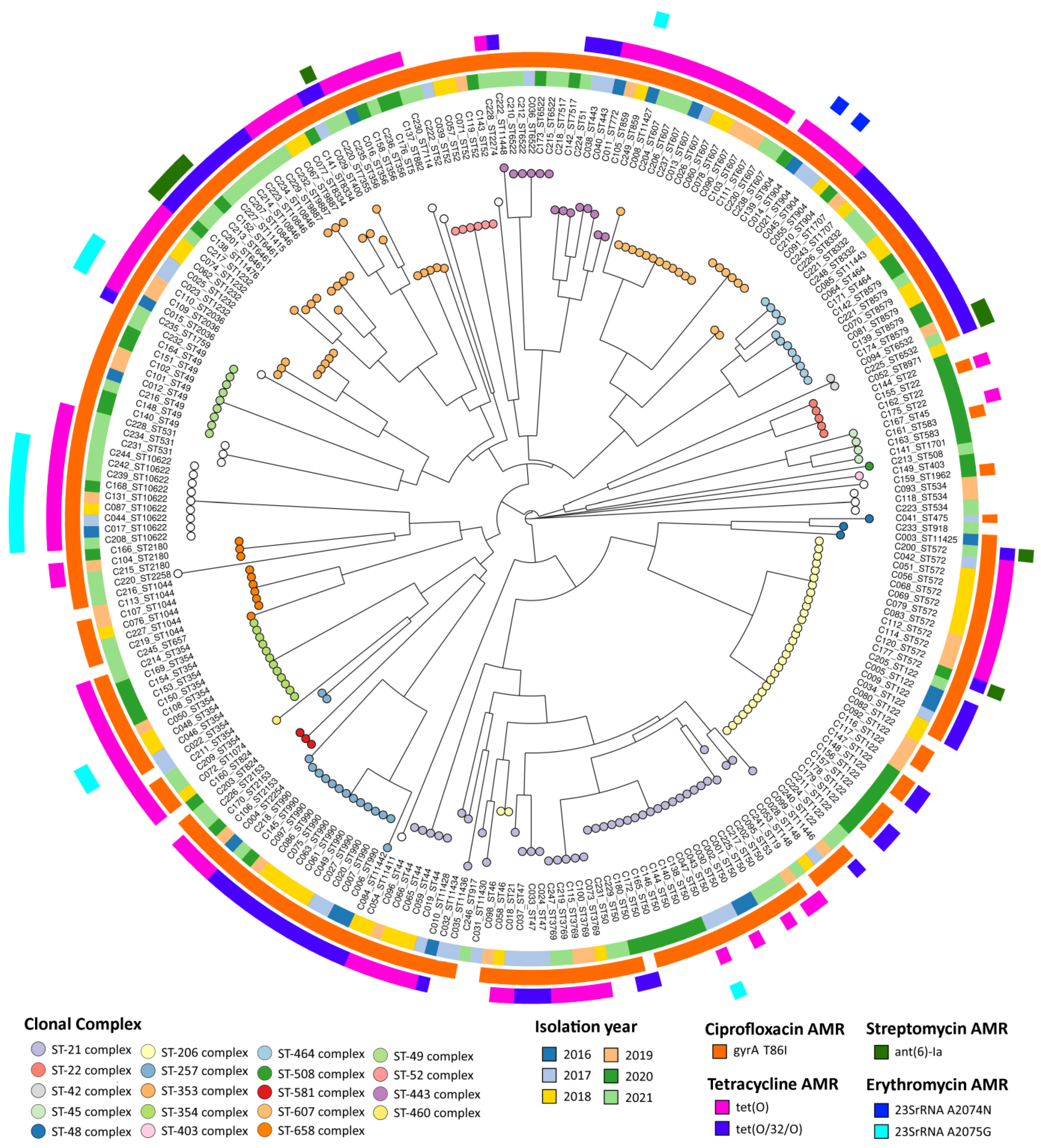 Pathogens 13 00147 g006 Pathogens 13 00147 g006