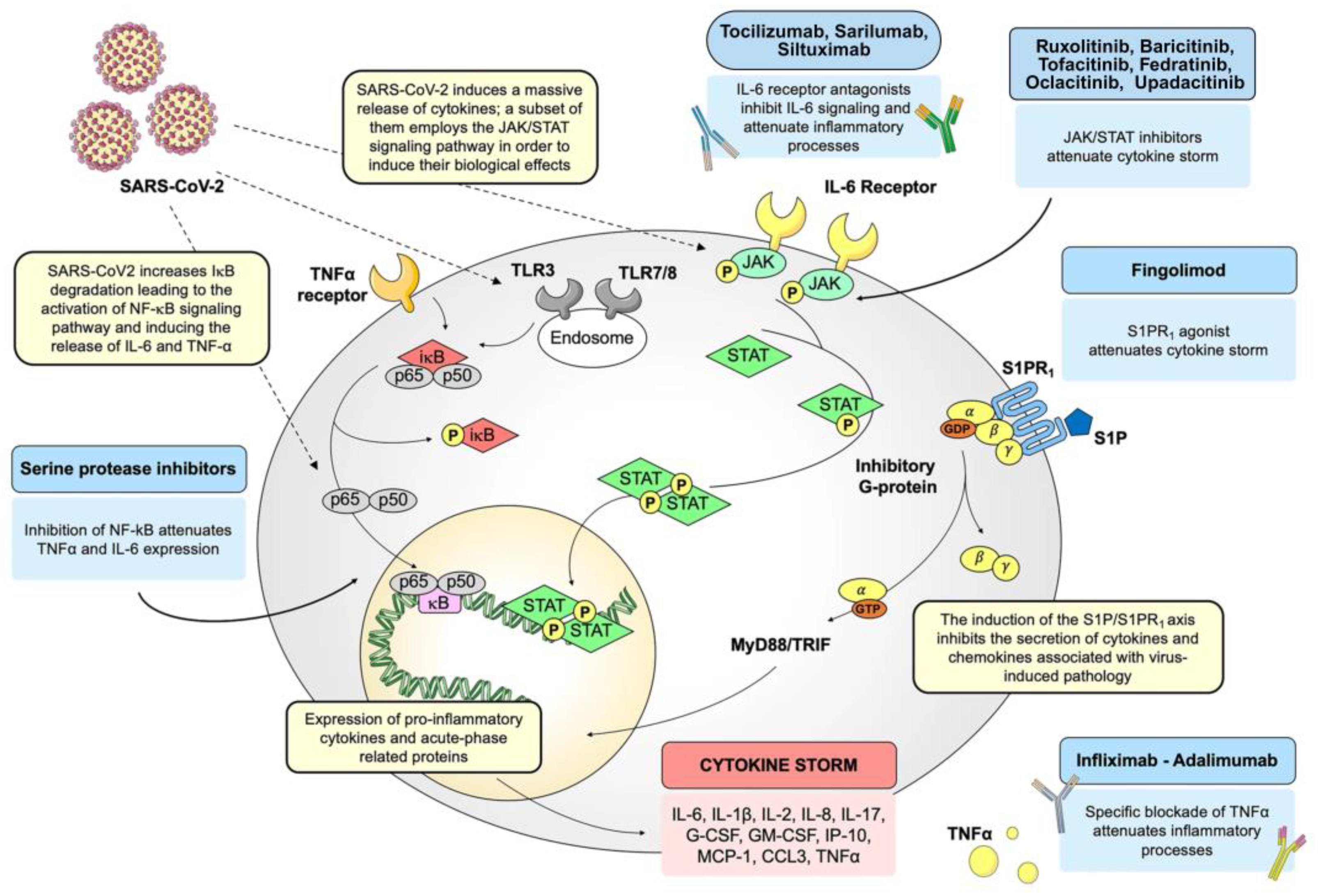 Pathogens 13 00164 g005